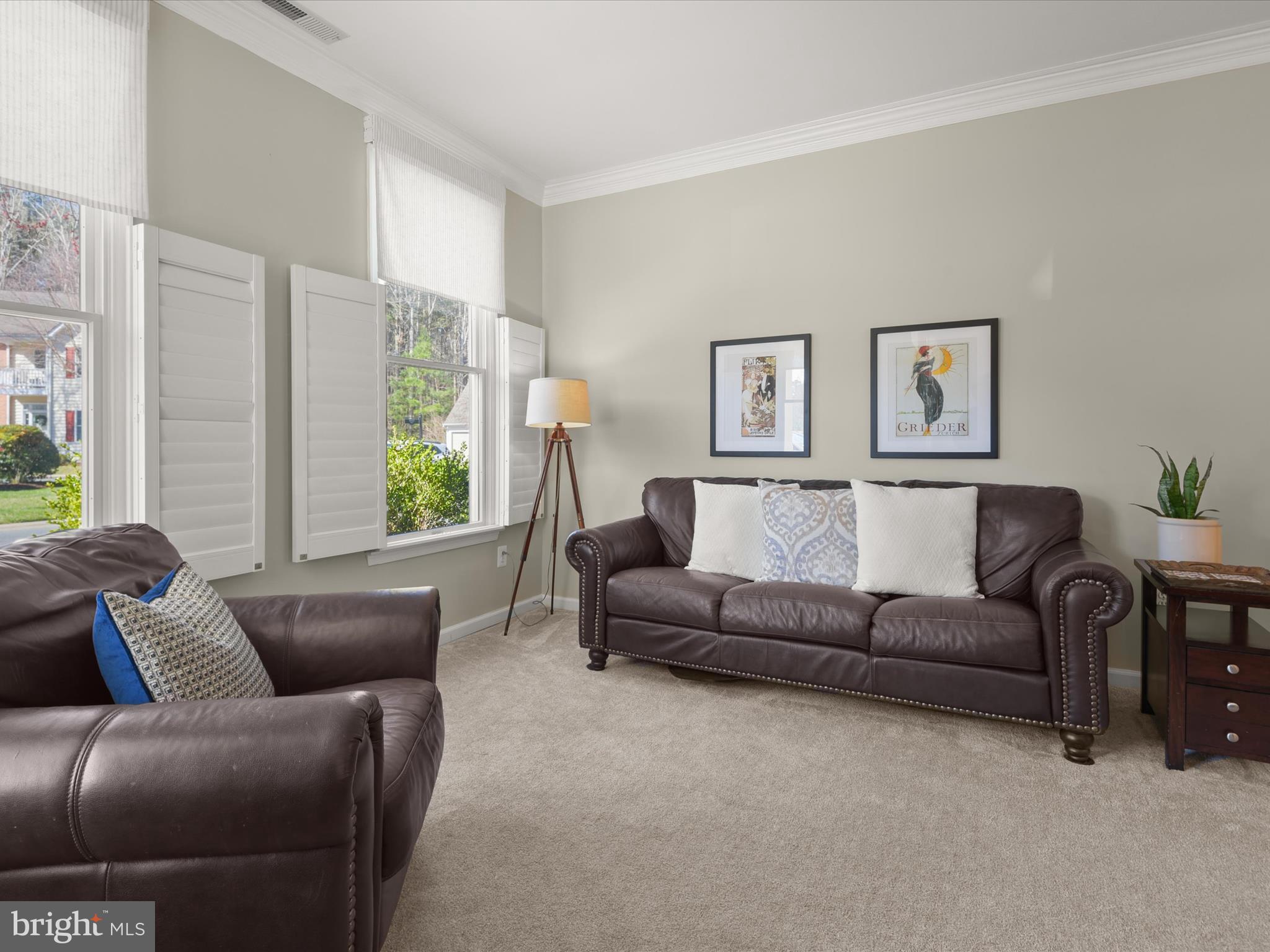 28488 WOODS DRIVE