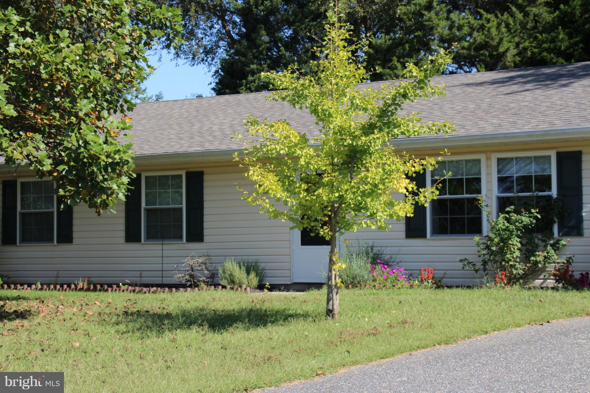 7339 SHIRLEY DRIVE