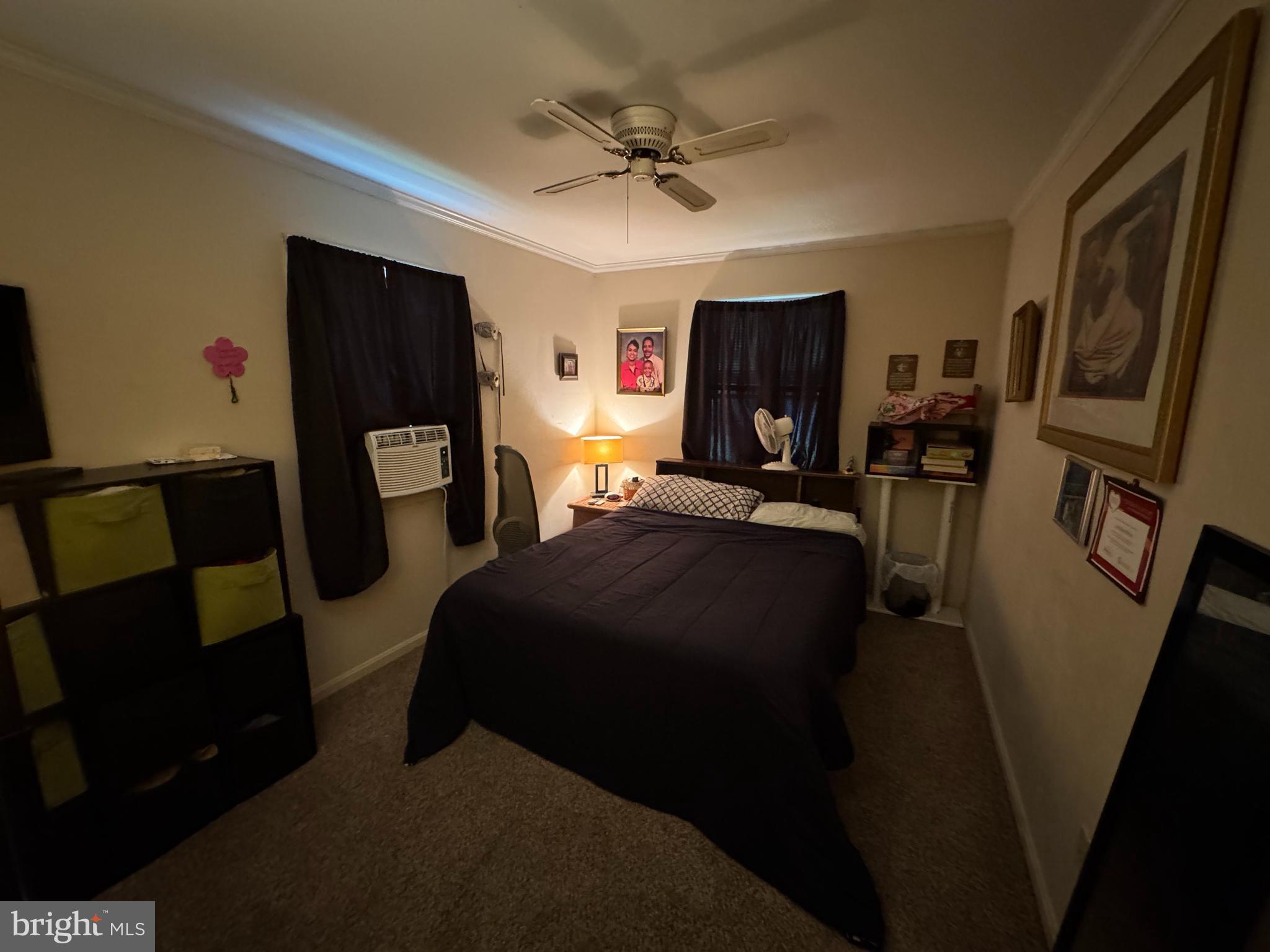 9547 BLACK DOG ALLEY