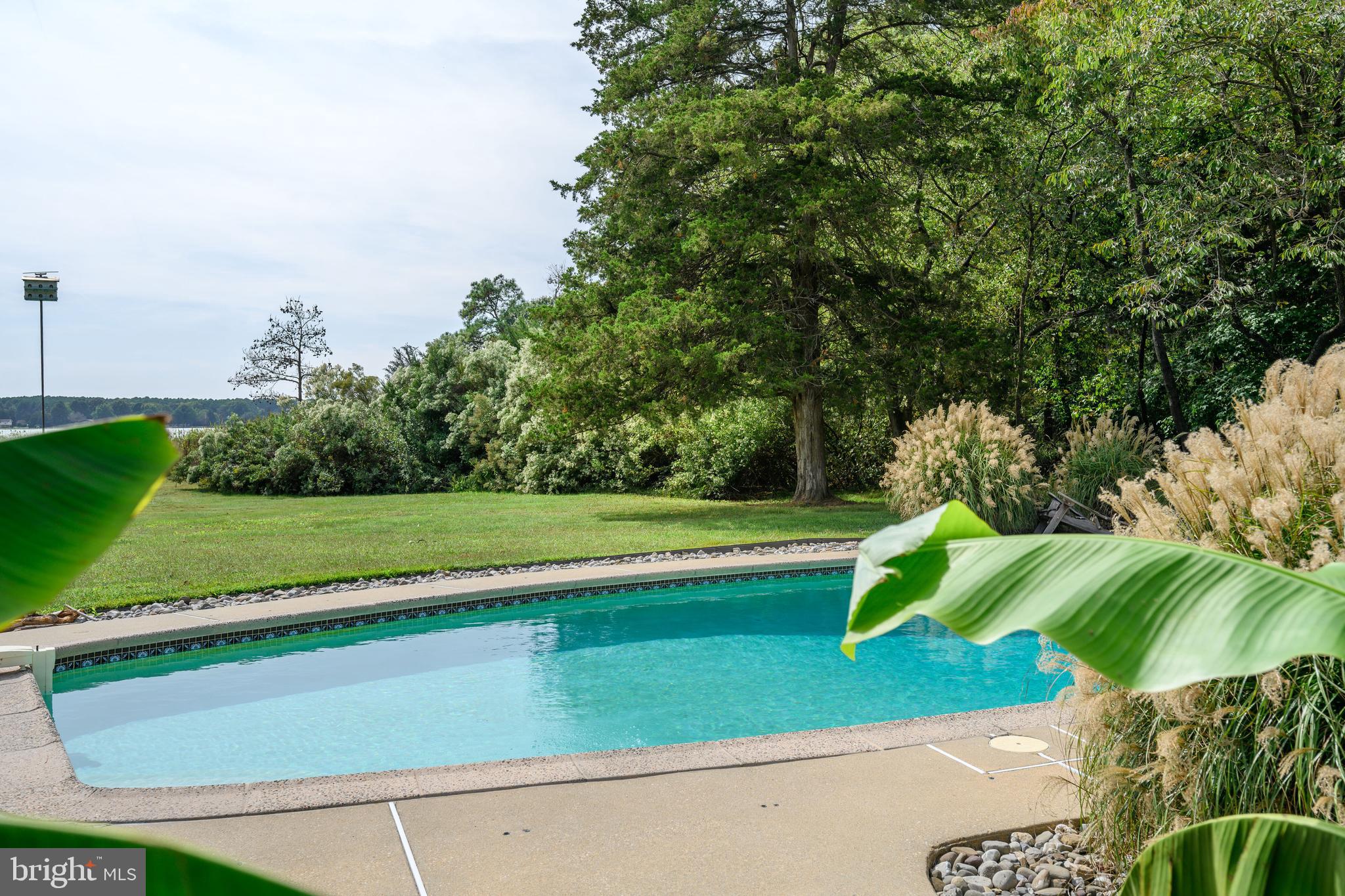 23869 NEW LAND DRIVE