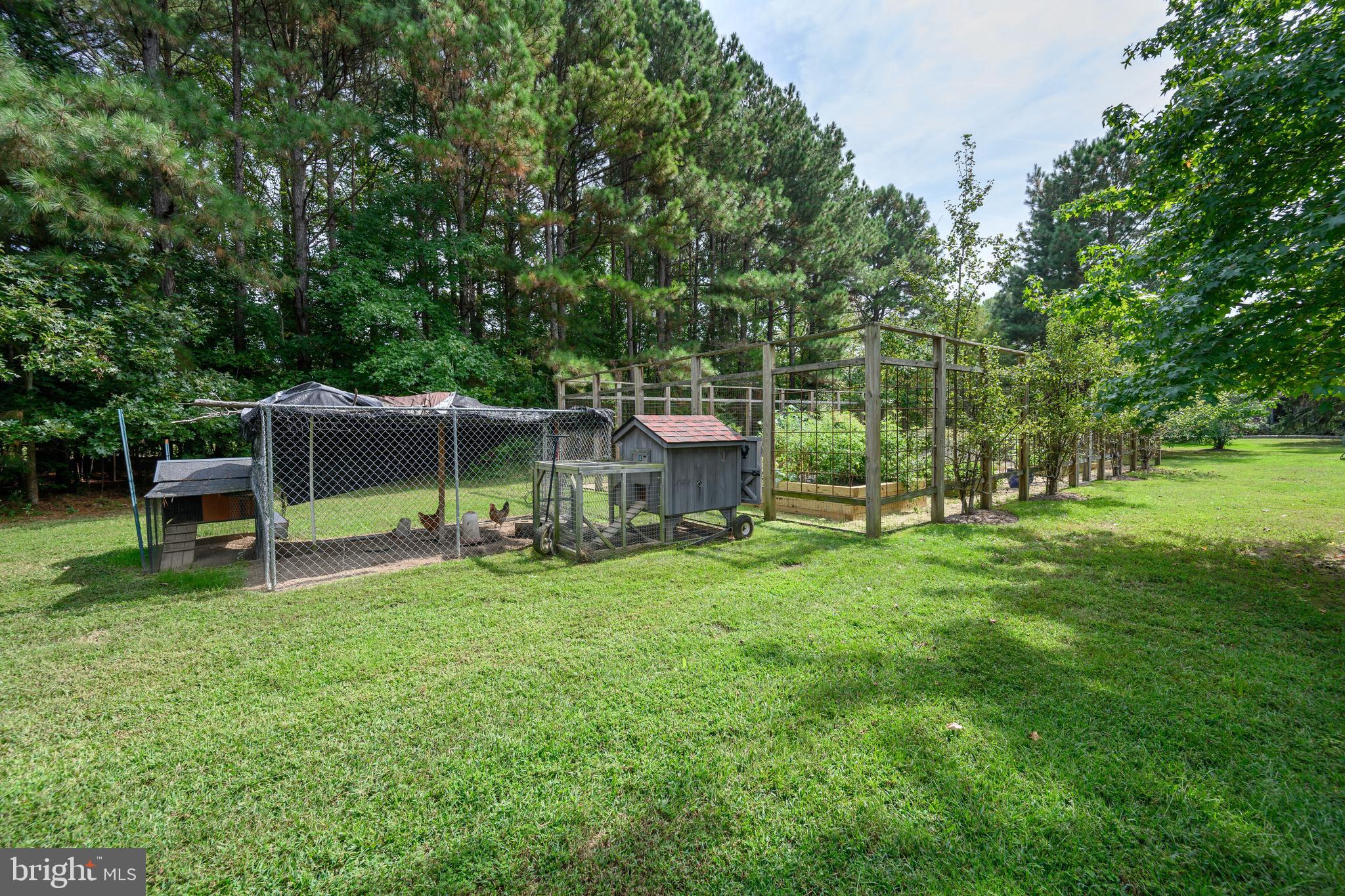 23869 NEW LAND DRIVE