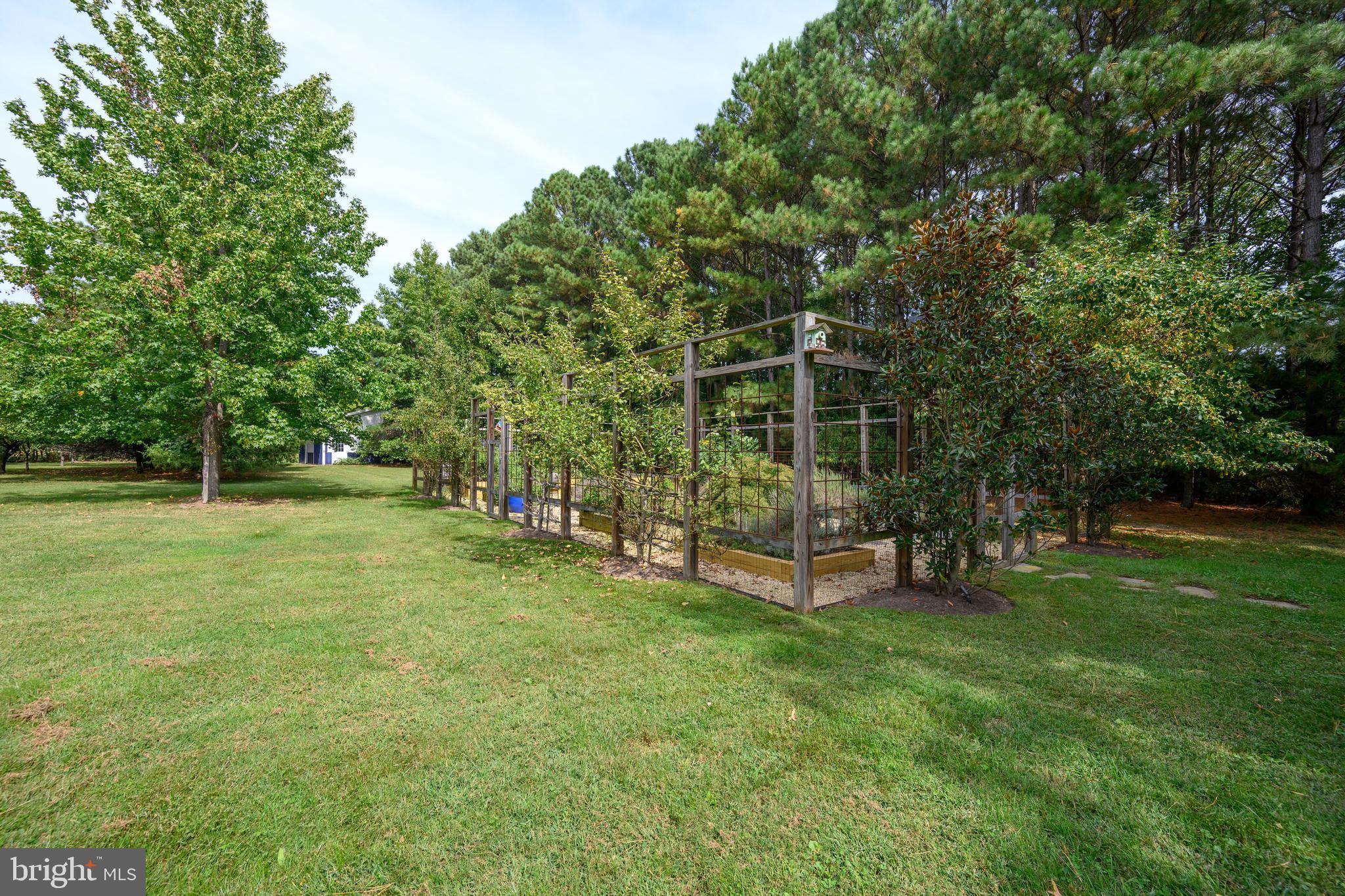 23869 NEW LAND DRIVE