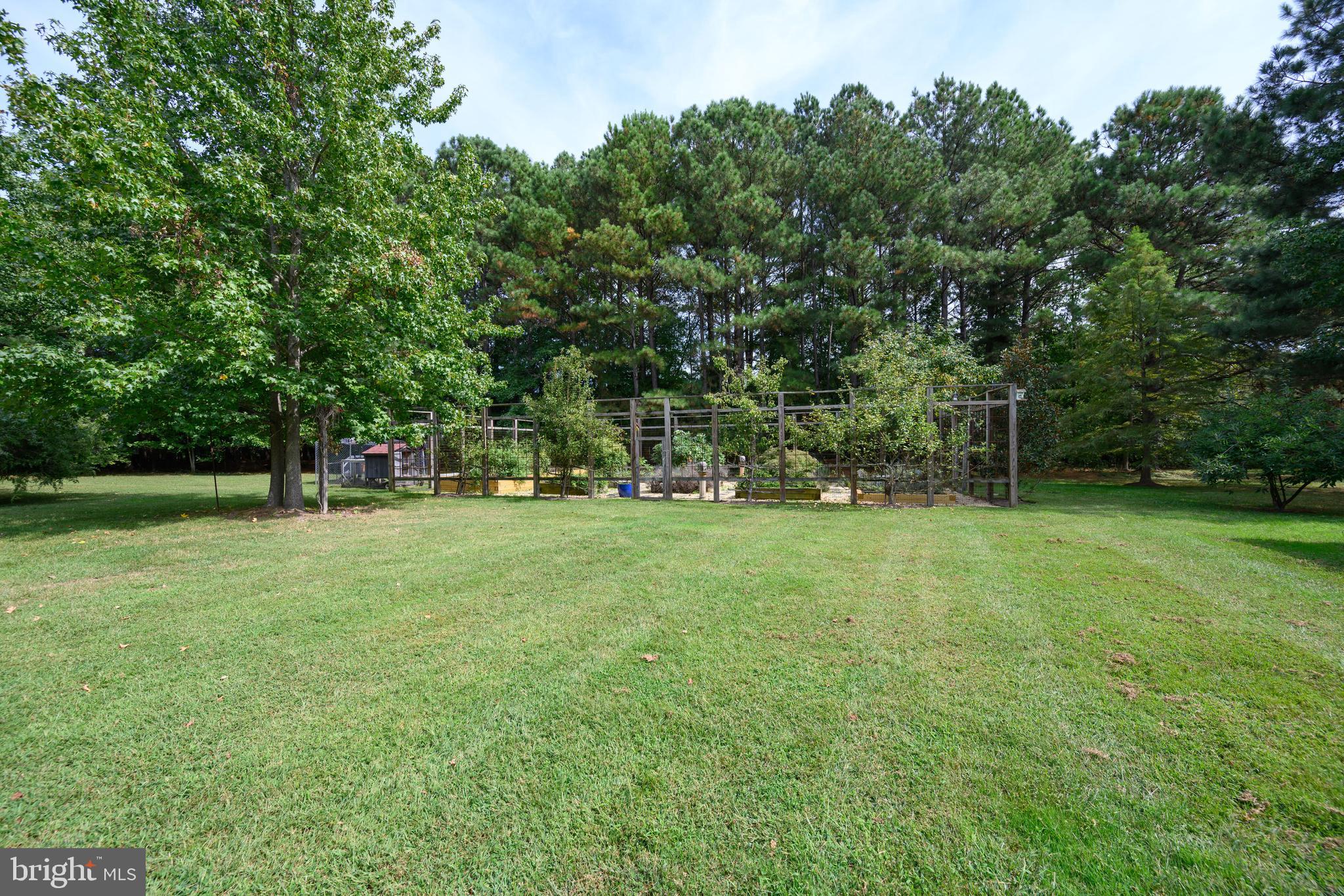 23869 NEW LAND DRIVE