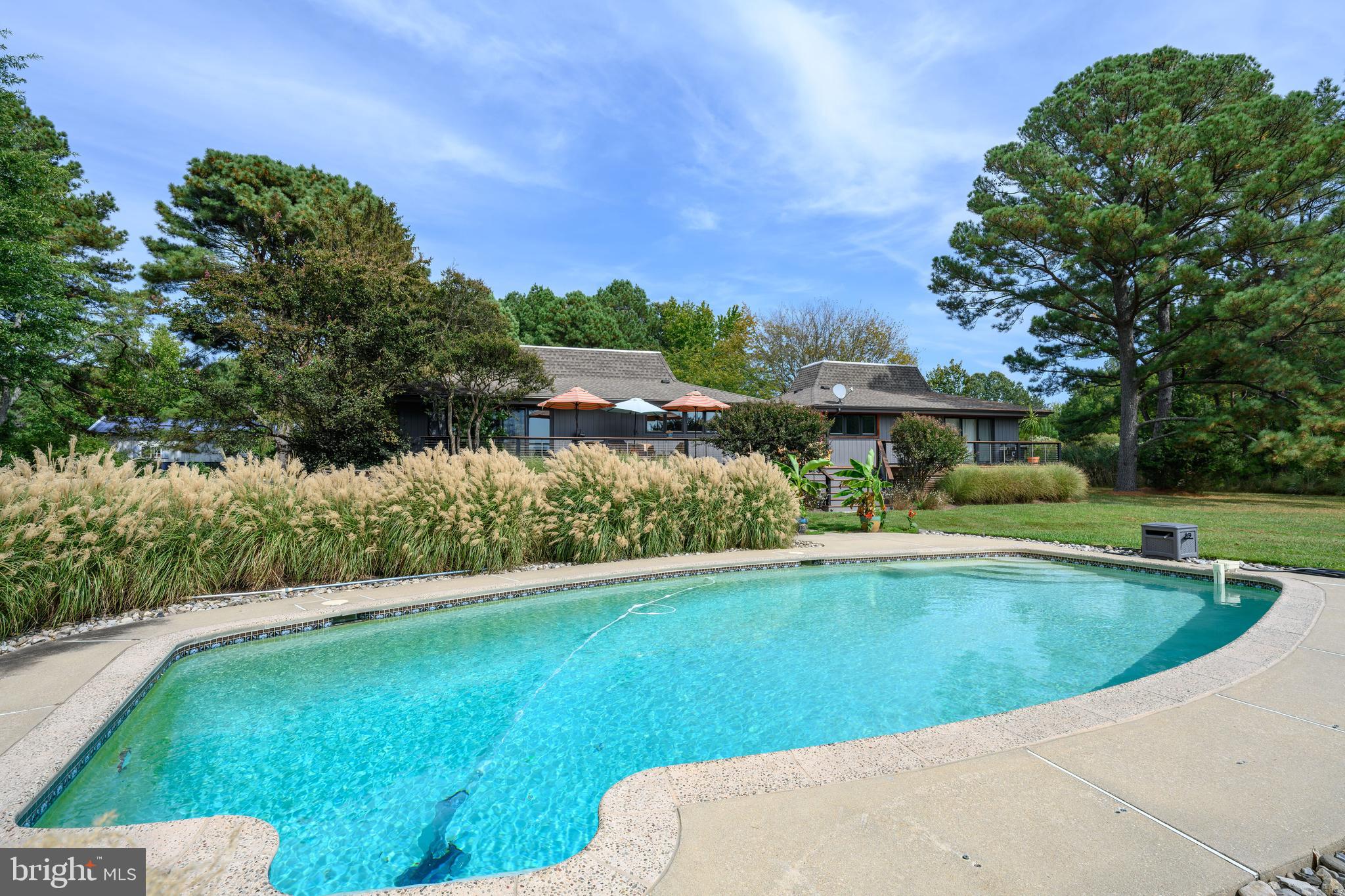 23869 NEW LAND DRIVE