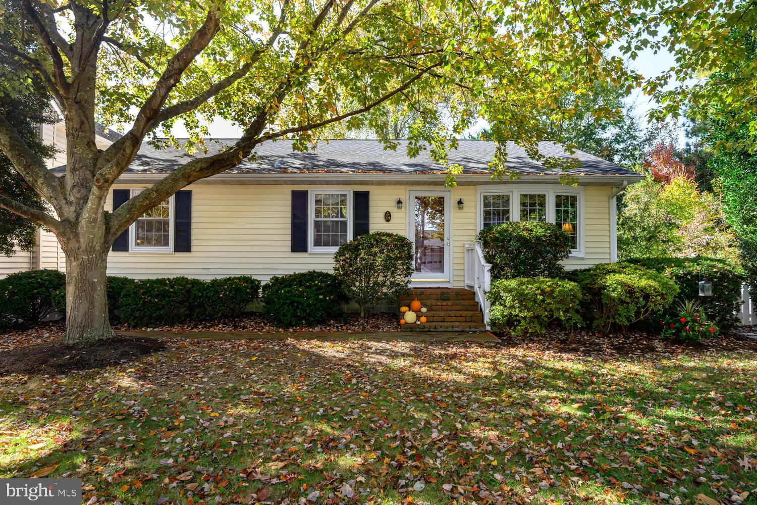 224 SOUTH STREET