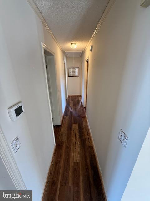 507 BAINBRIDGE PLACE