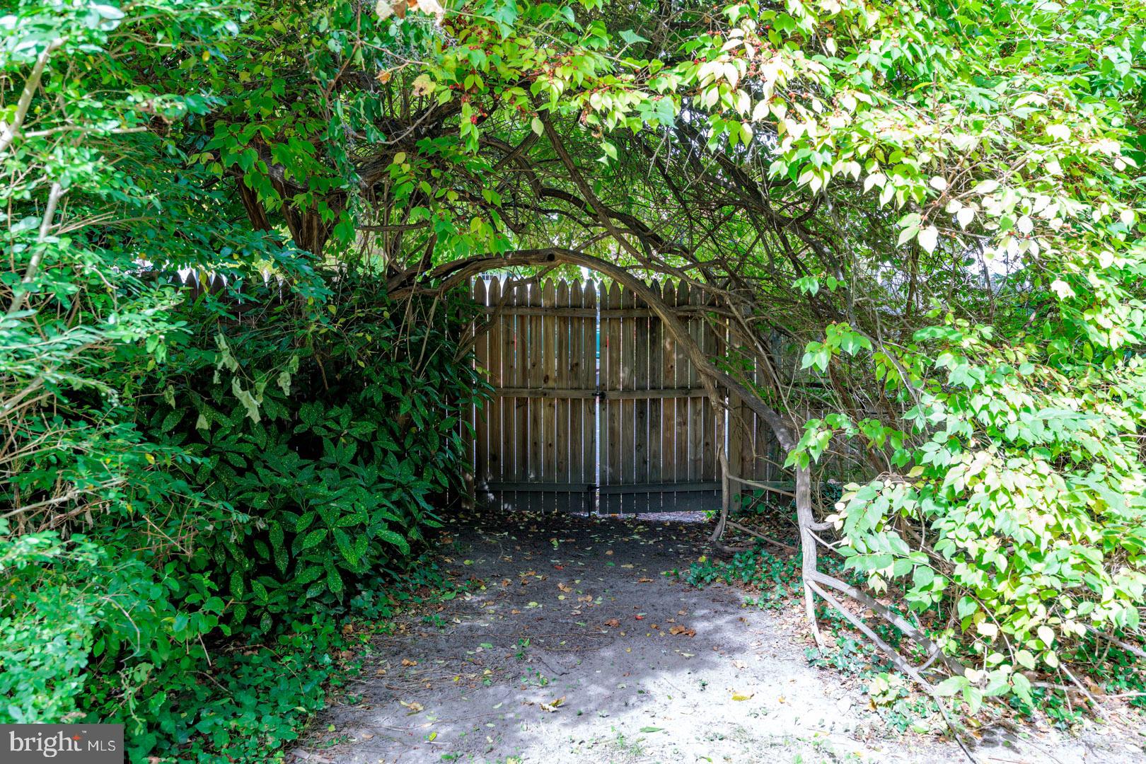 203 MULBERRY