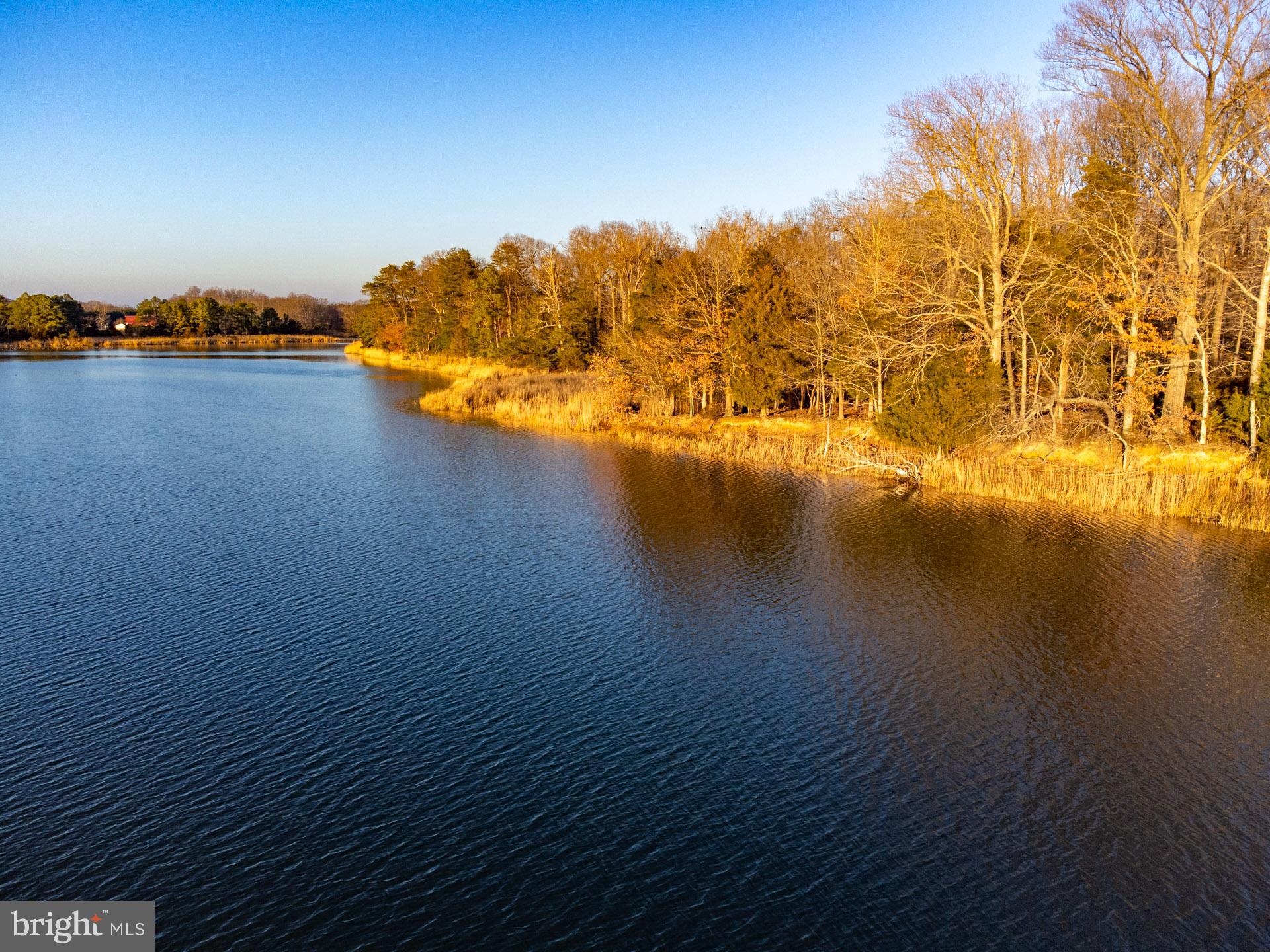 CODS POINT ROAD