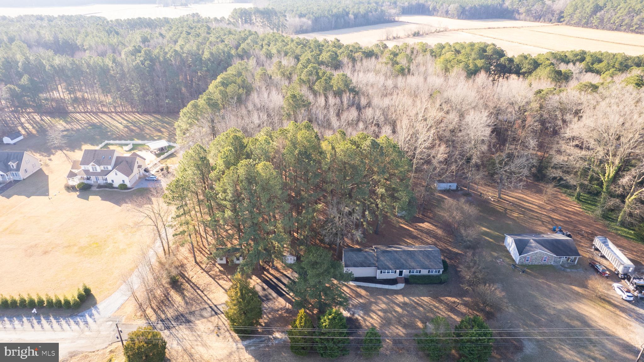 25525 RISING EAGLE ROAD