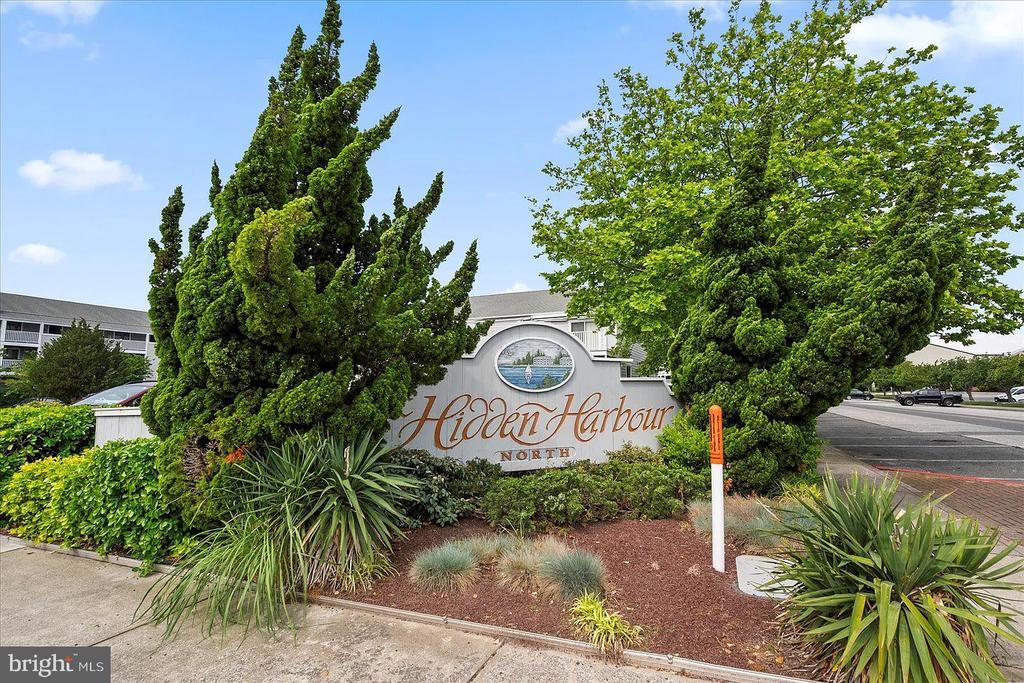 12401 JAMAICA AVENUE 358O