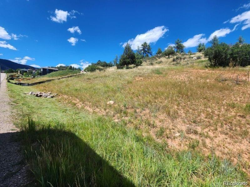 Vacant sloping lot with dry grass, scattered rocks, and trees under a bright blue sky.