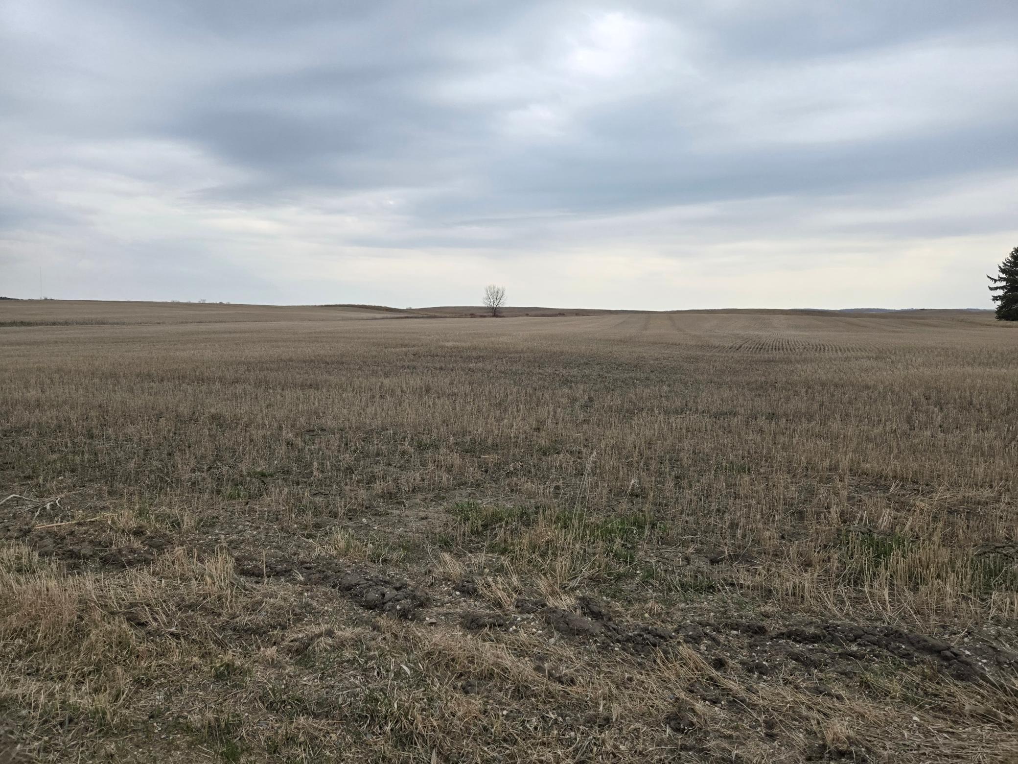 (LOT D) TBD 100th Avenue