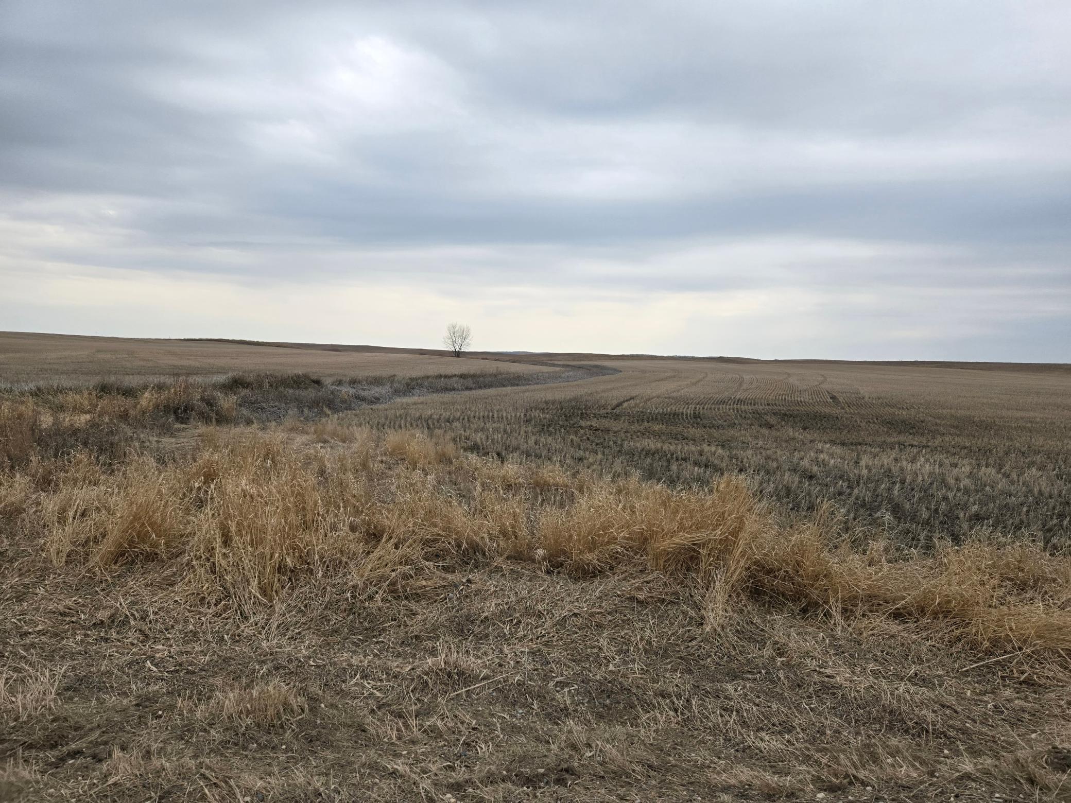 (LOT D) TBD 100th Avenue