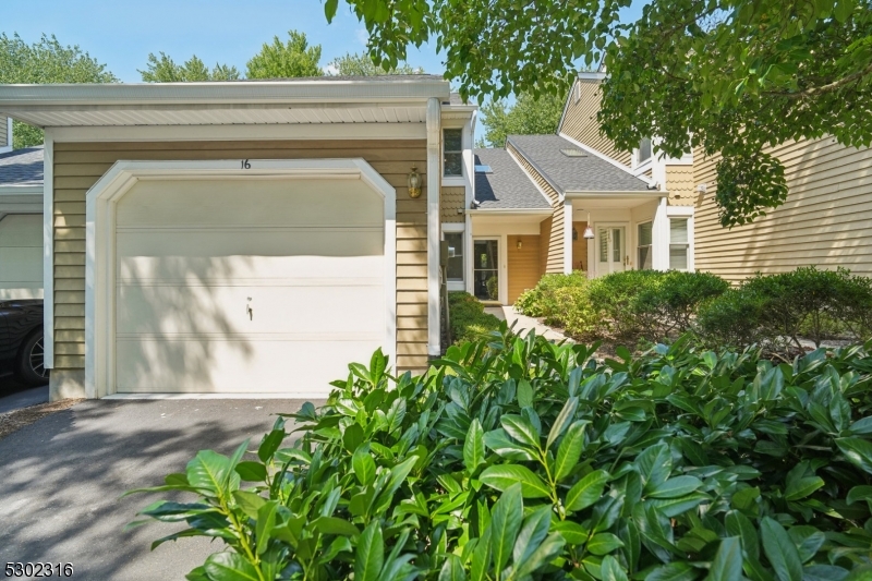 16 Exeter Rd