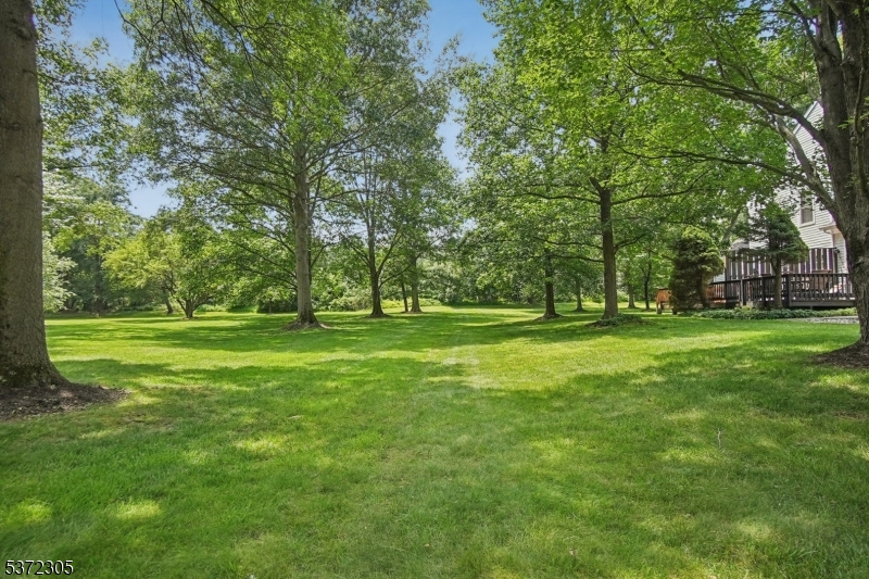 764 Vanessa Ln