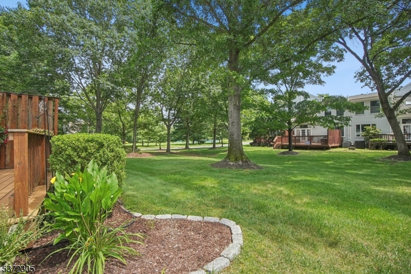 764 Vanessa Ln