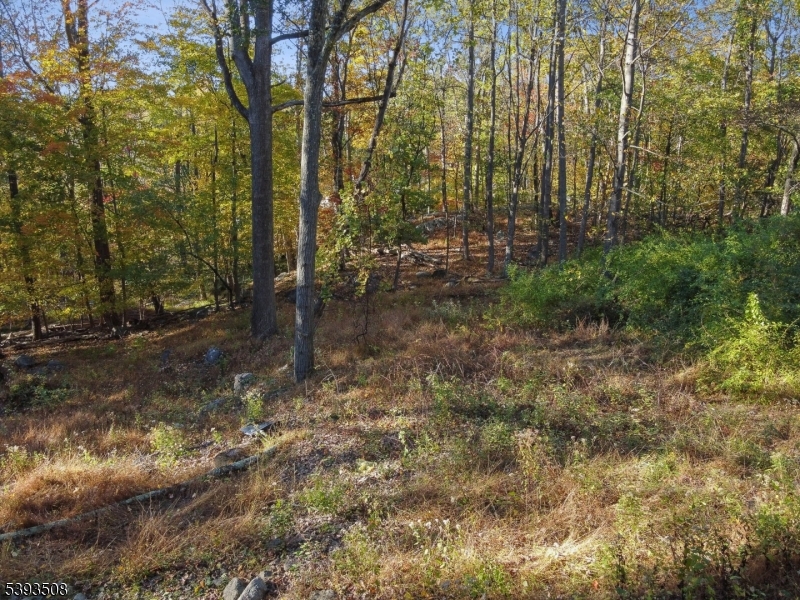 626 Brooklyn Mountain Rd