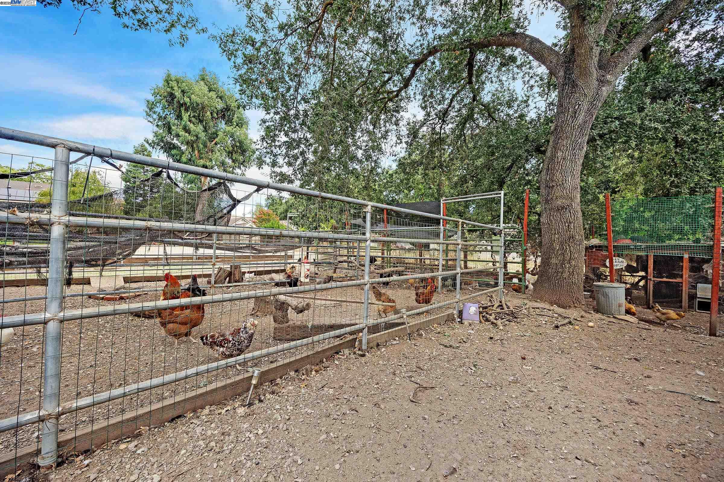 6745 Alisal Street, Pleasanton