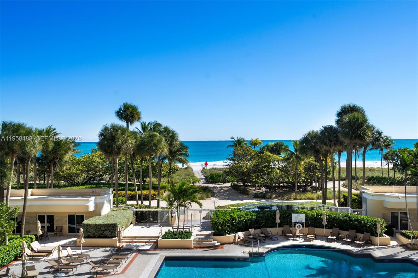 Outdoor pool and sun deck overlook a palm-lined path to the beach and ocean.