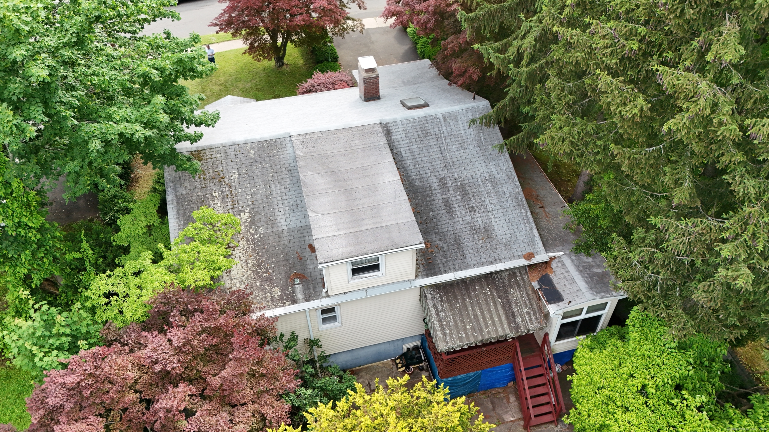 11 Well Avenue