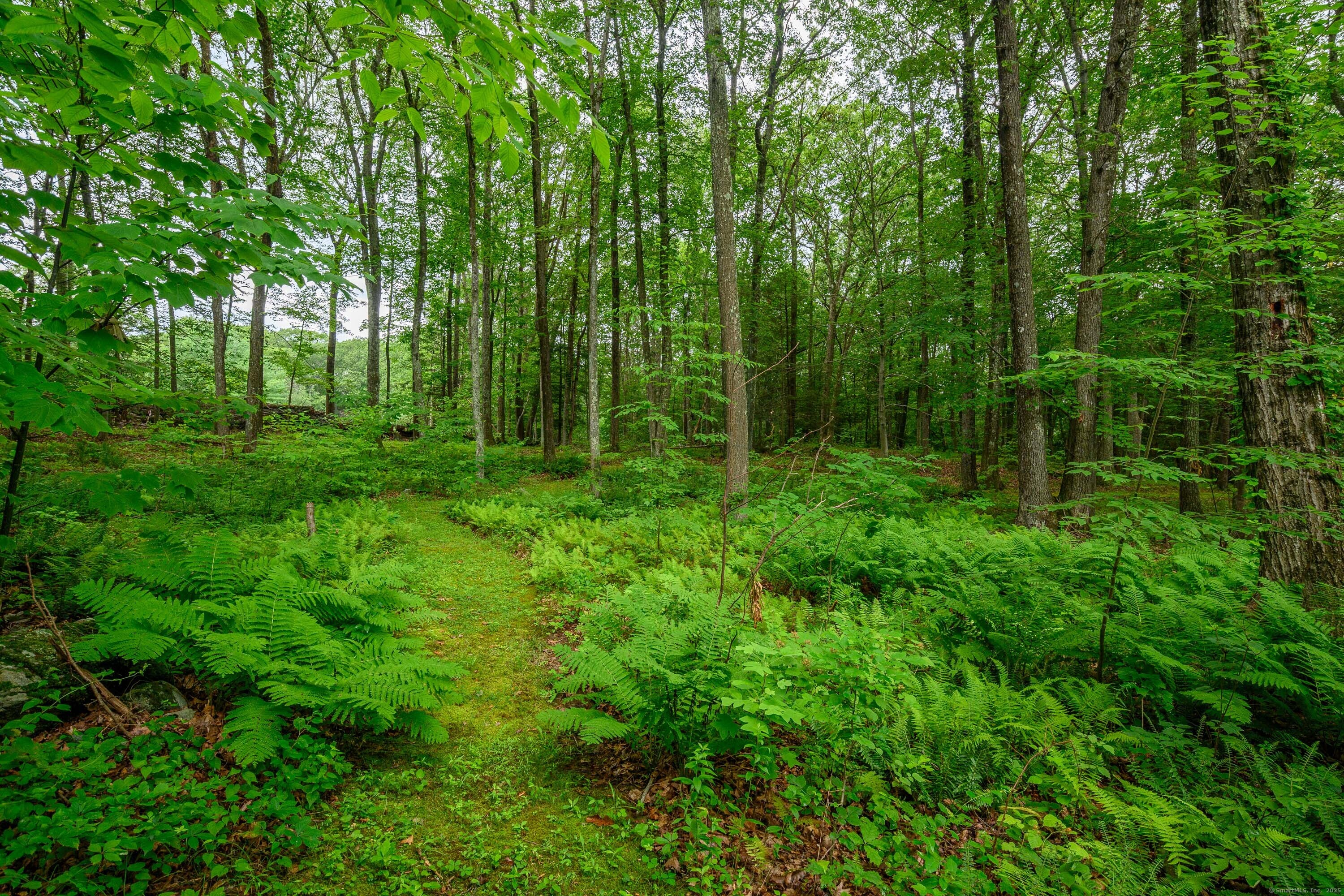 4 Spruce Mountain Trail