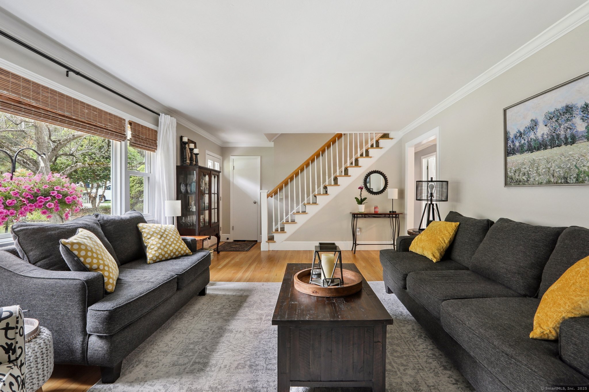 37 Dana Road