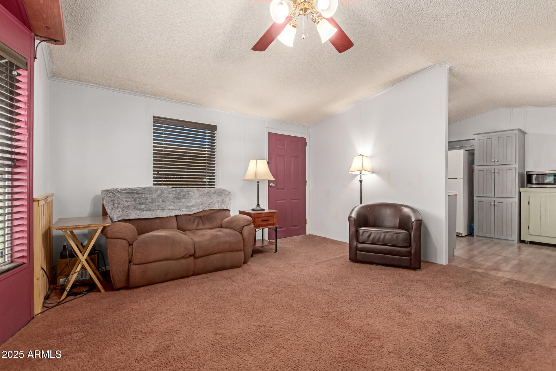 437 E Germann Road, 24