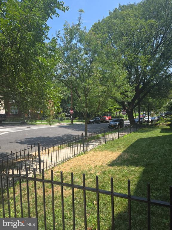Tree-lined street and grassy lawn behind a black metal fence.
