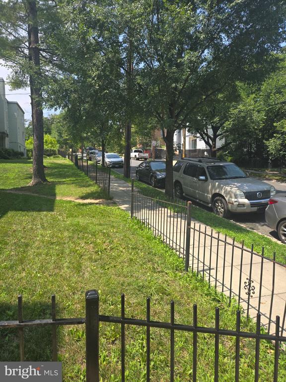 Tree-lined residential street beside a grassy lawn and black metal fence.