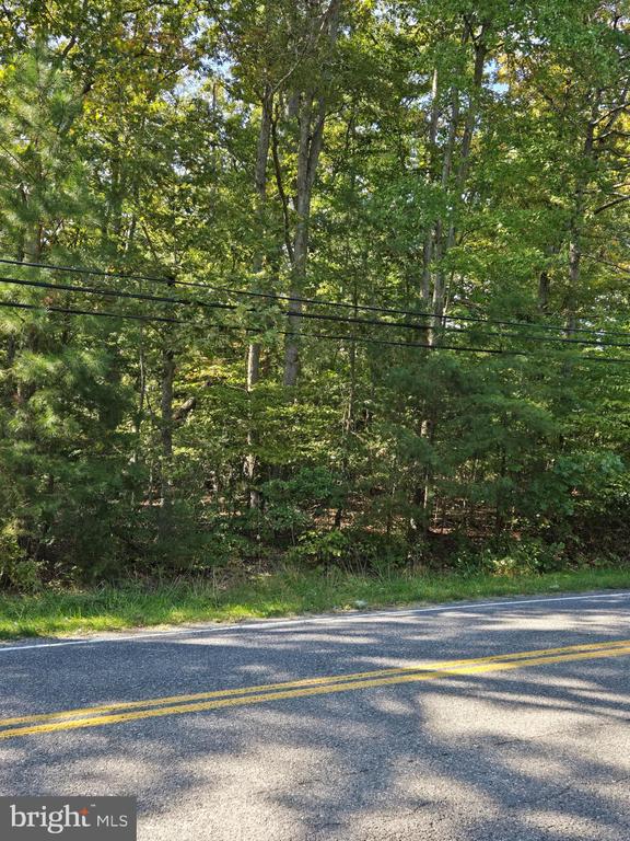 4101 DANVILLE ROAD