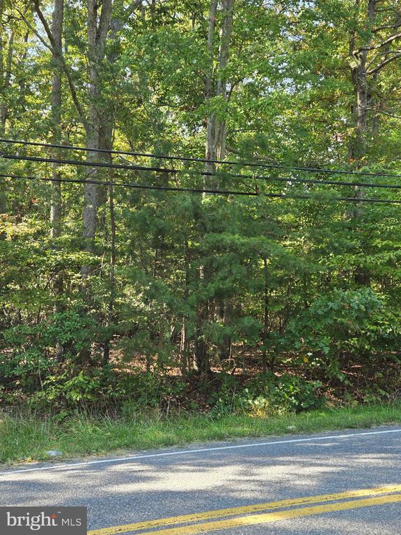 4101 DANVILLE ROAD