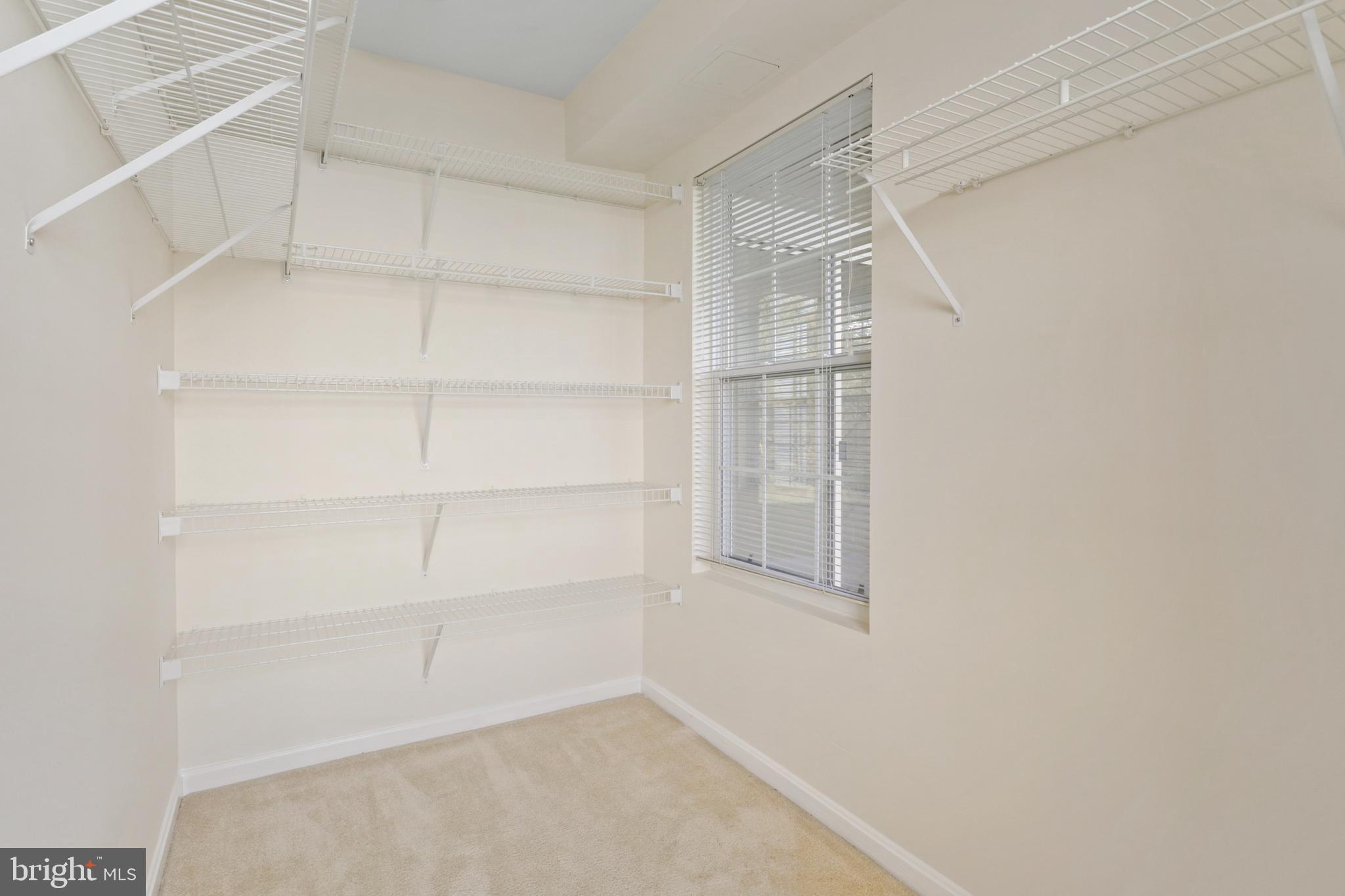 14158 CUDDY LOOP 103