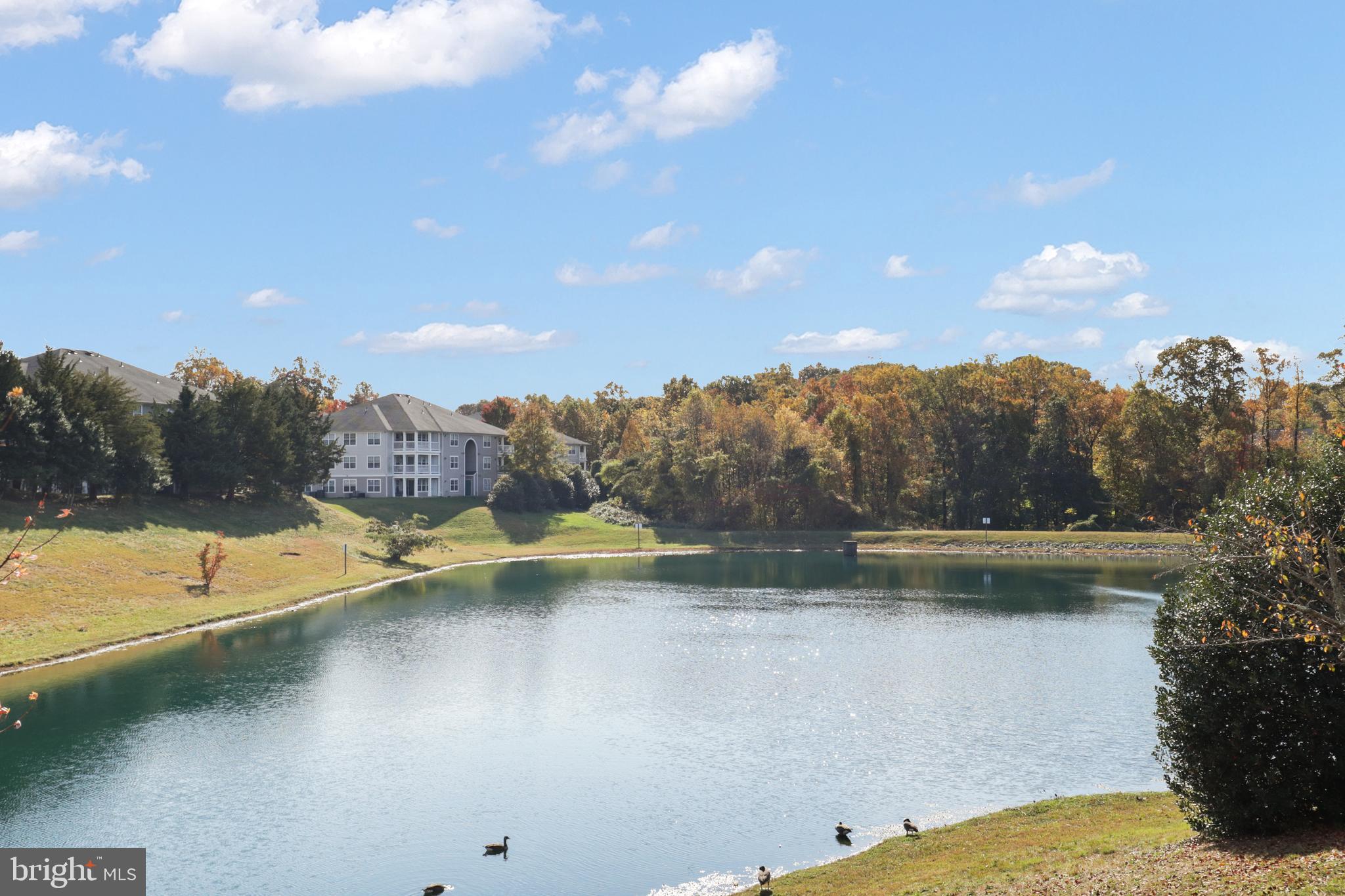 14158 CUDDY LOOP 103