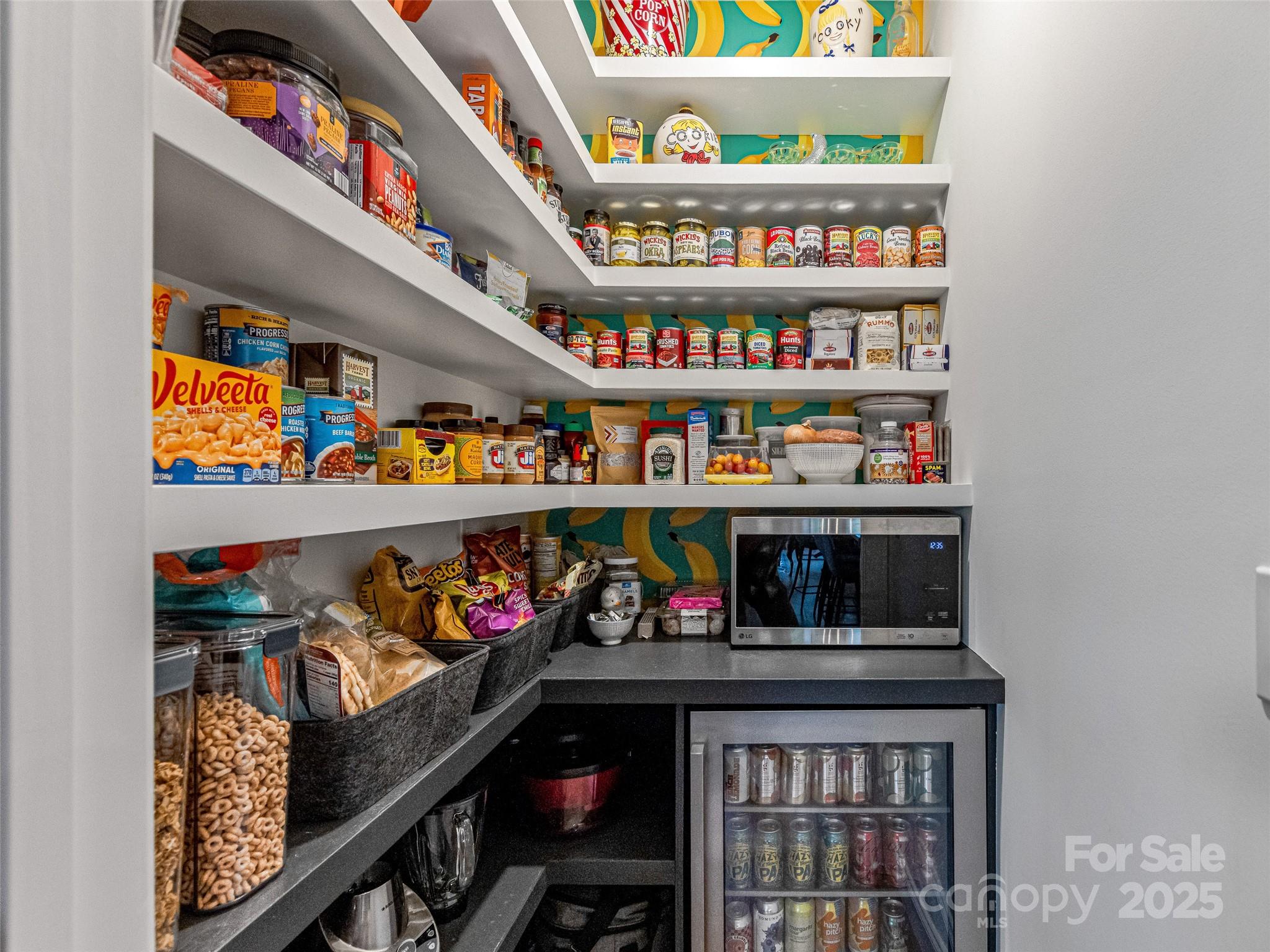 244 Barebridge Drive