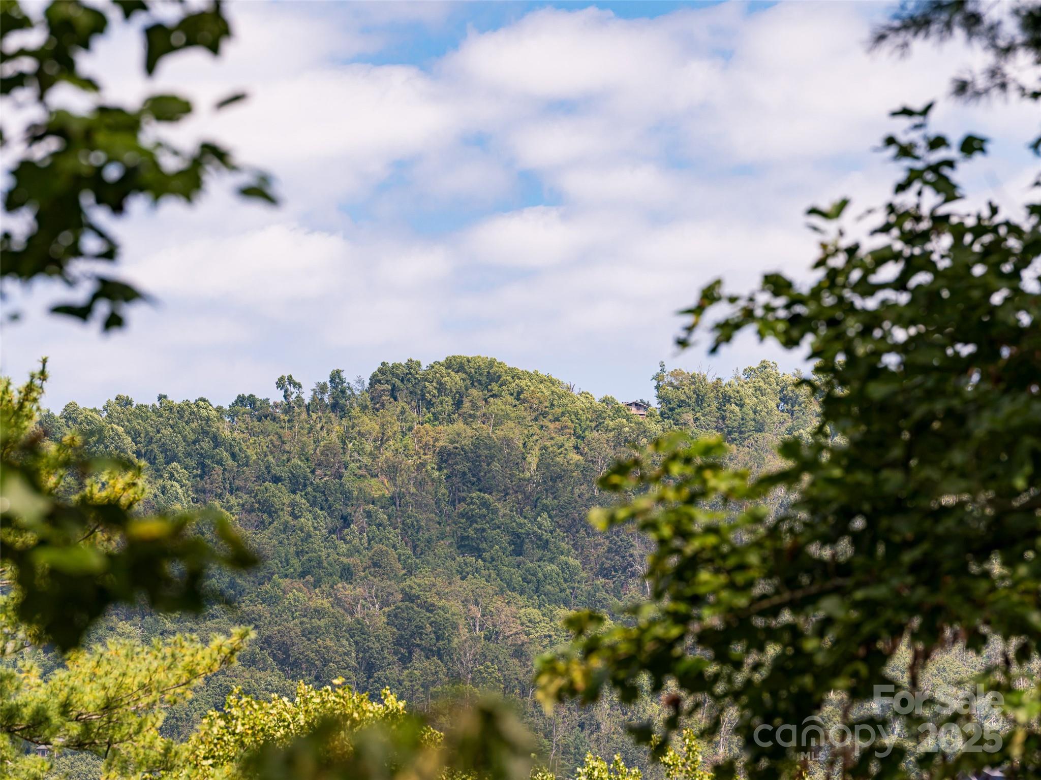 1302 Timber Trail