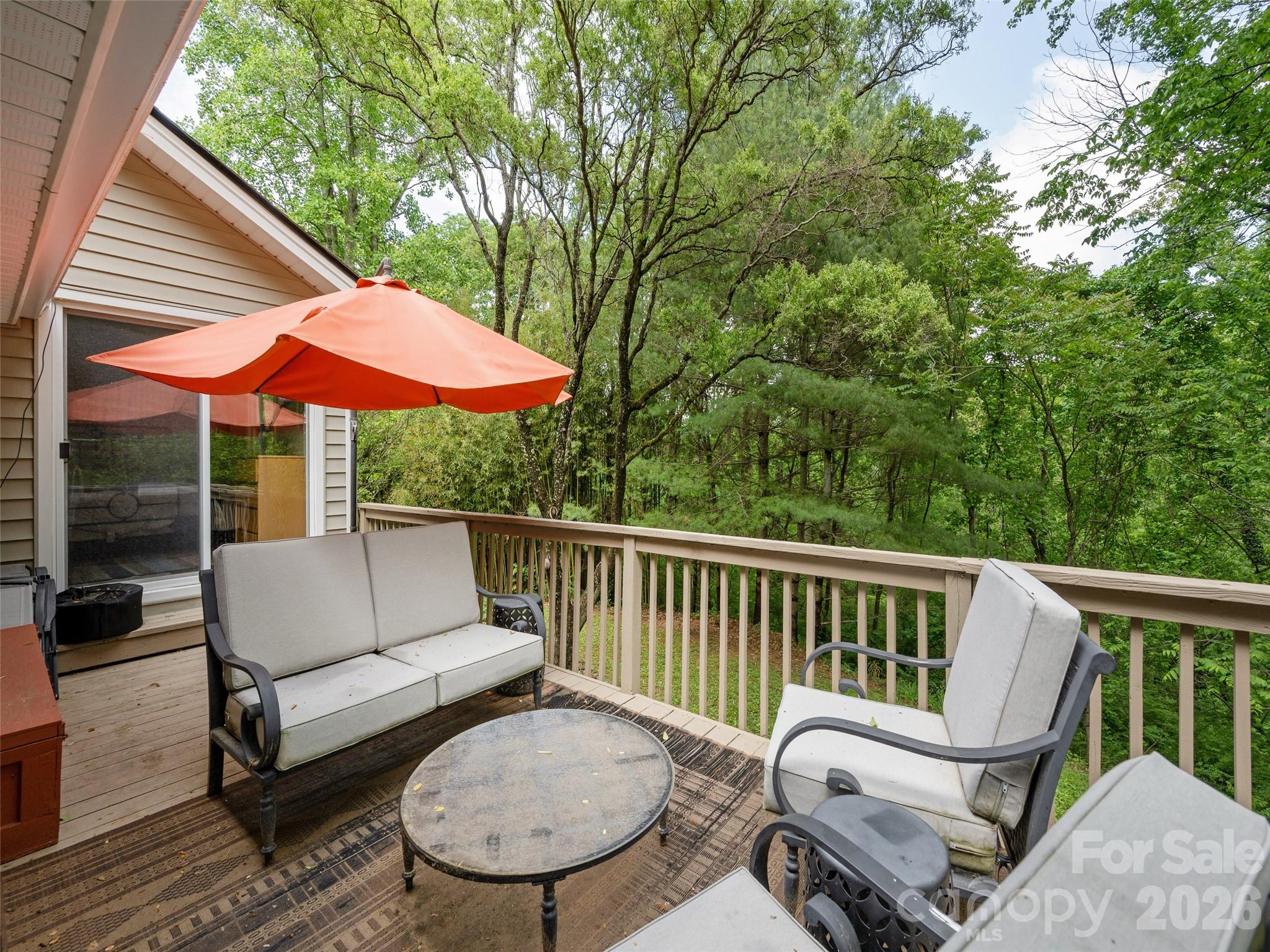 411 Patton Mountain Road