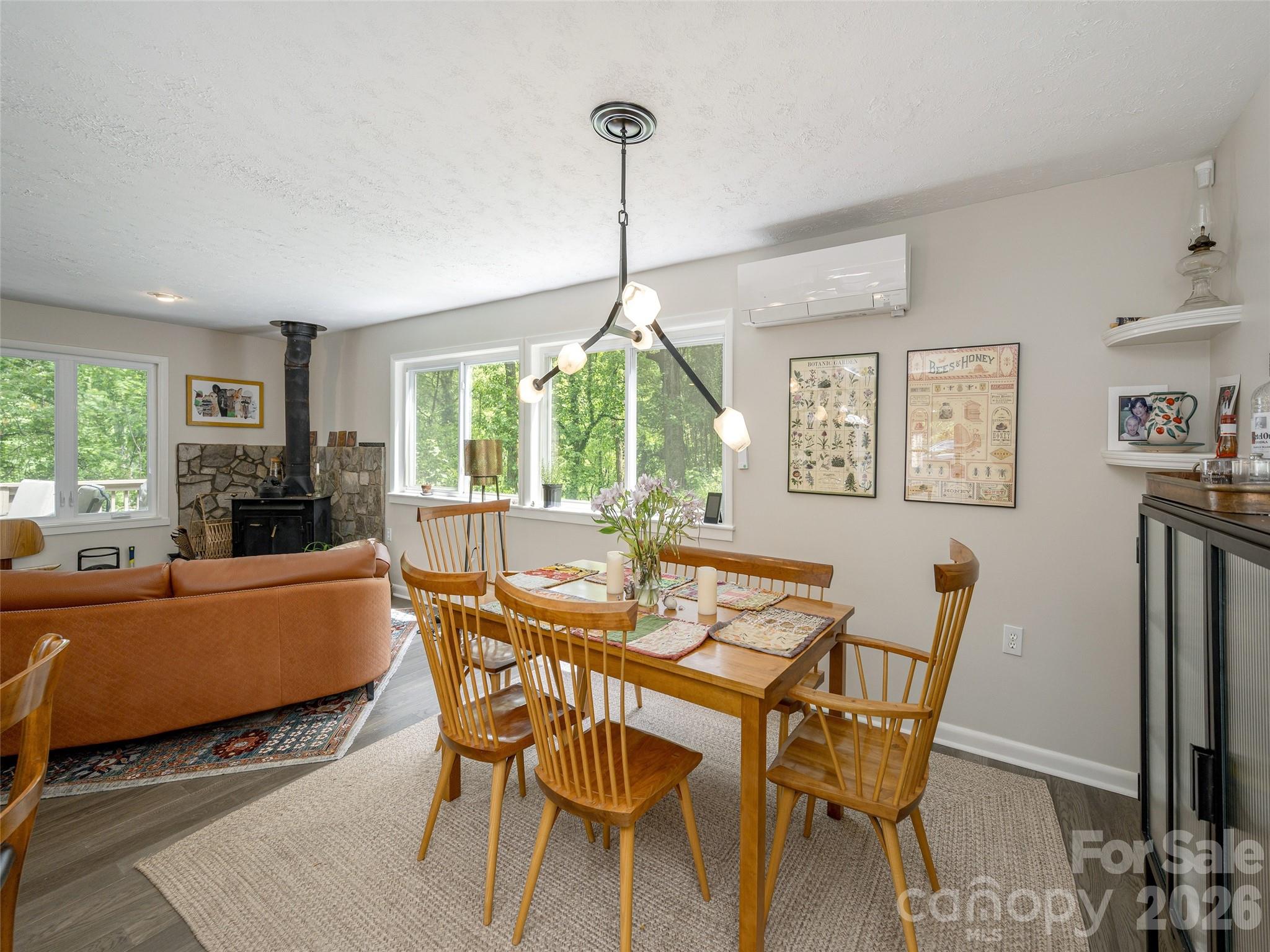 411 Patton Mountain Road