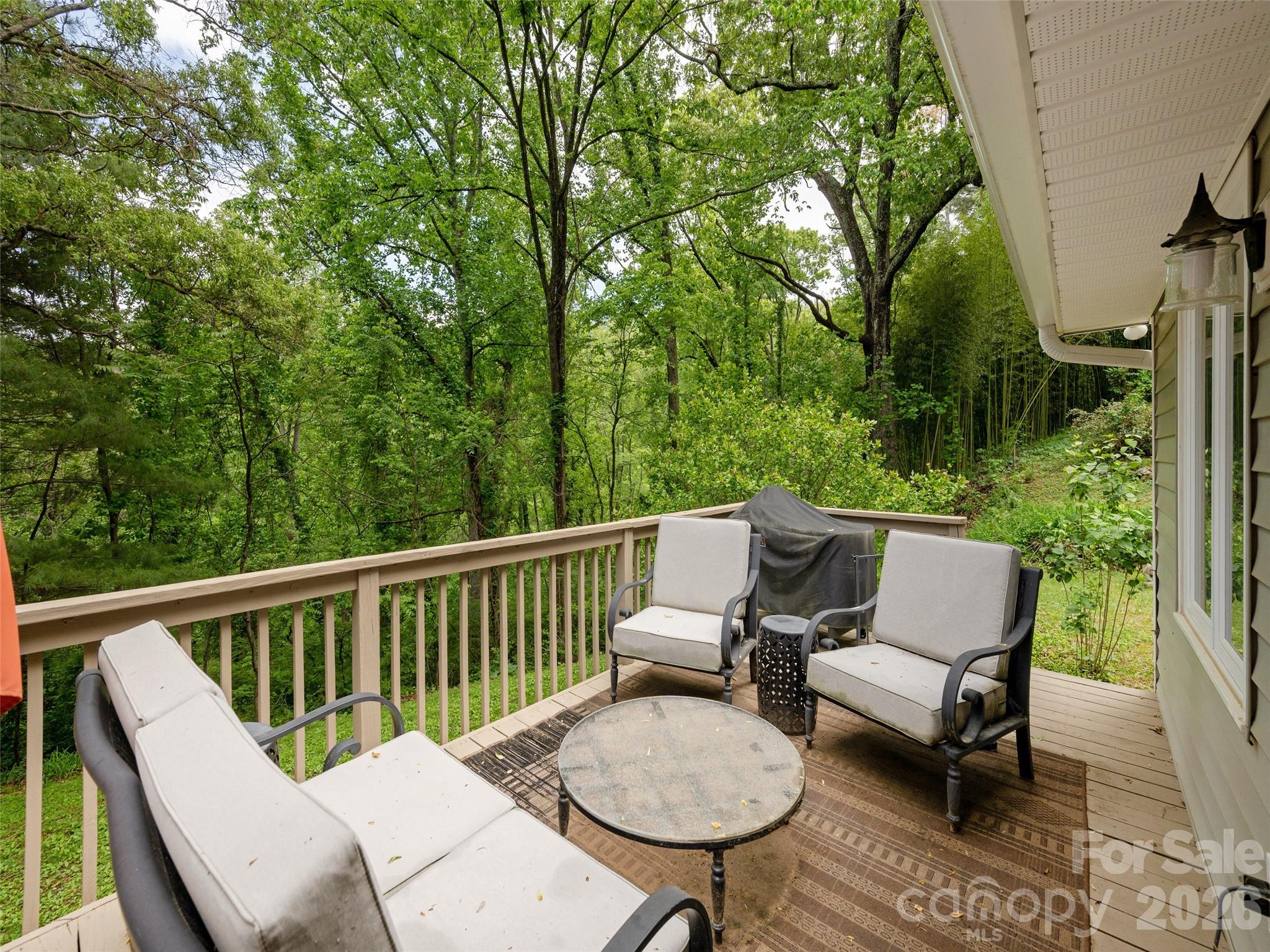411 Patton Mountain Road