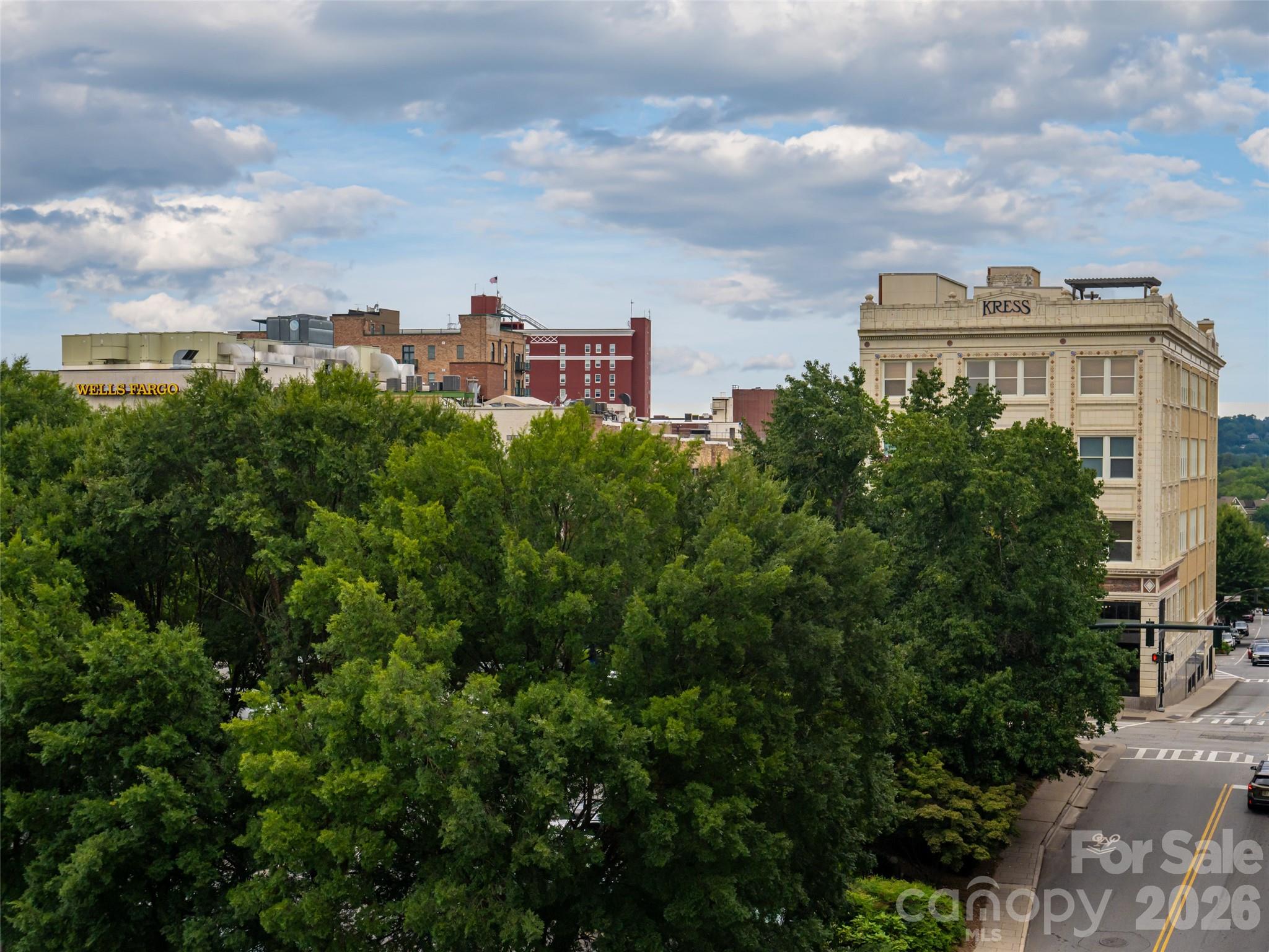 12 S Lexington Avenue Unit: 407
