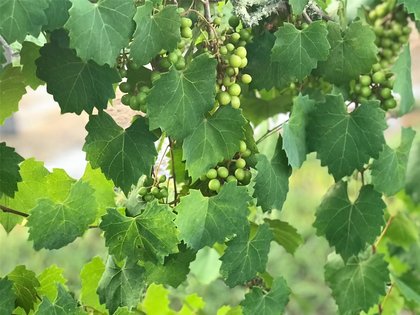 19600 E STATE ROAD 64