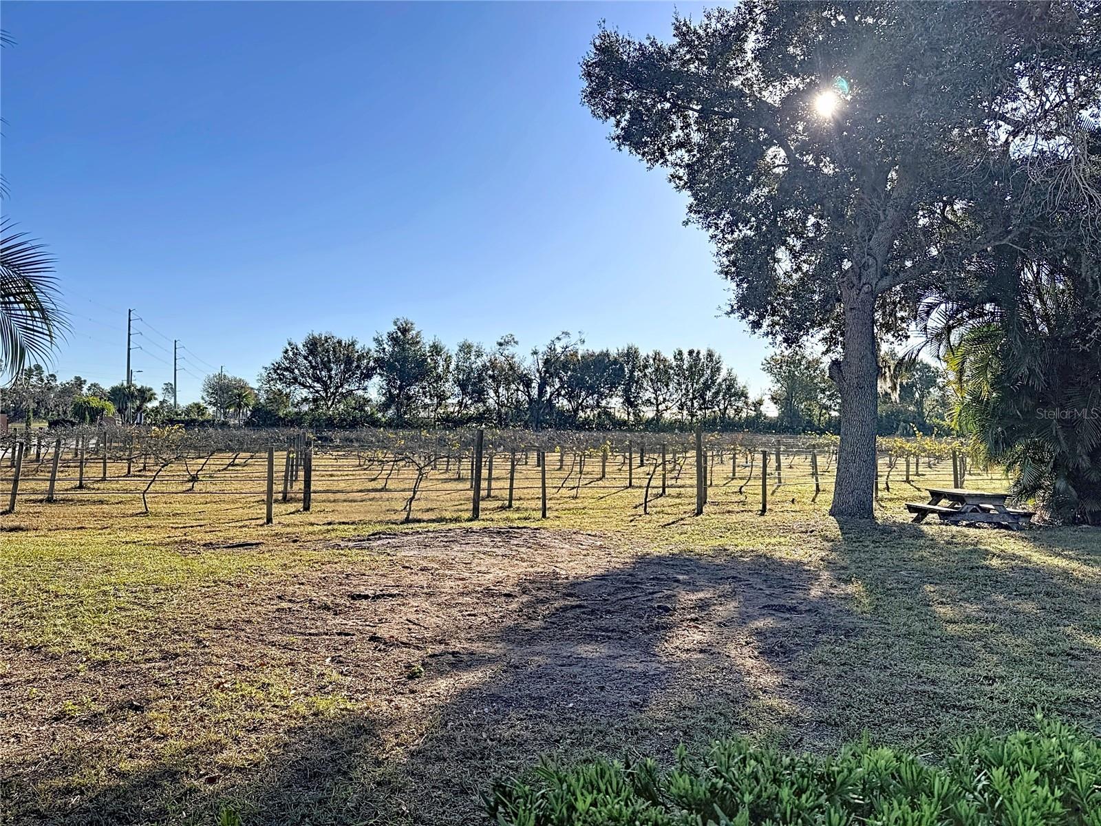 19600 E STATE ROAD 64