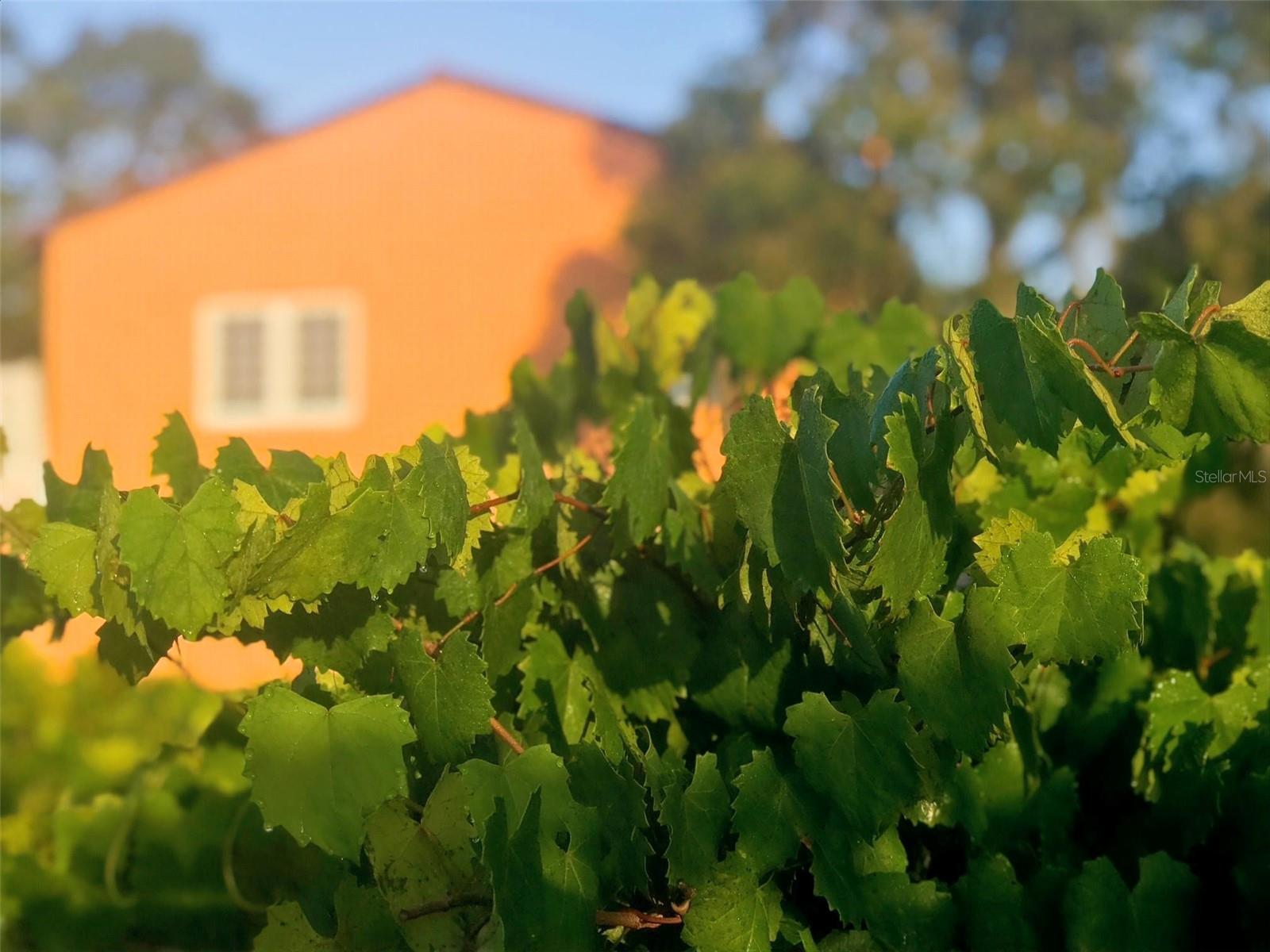 19600 E STATE ROAD 64