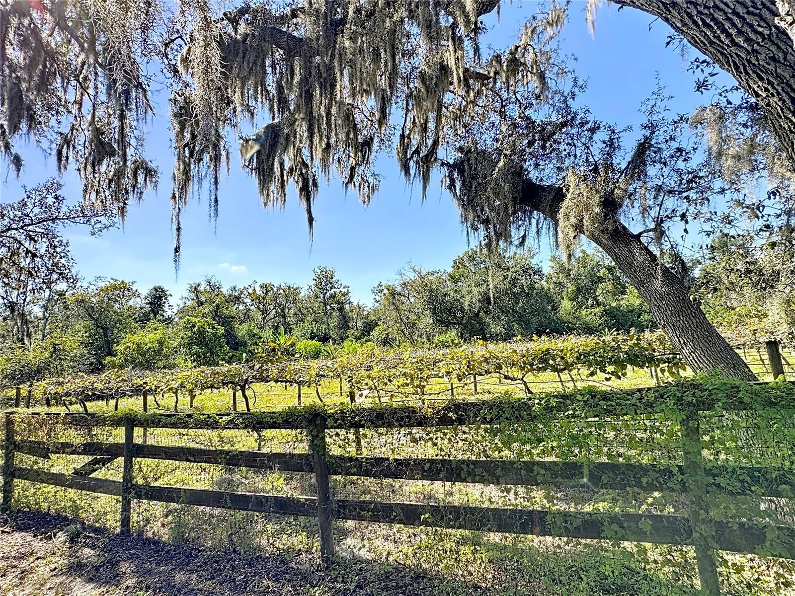 19600 E STATE ROAD 64