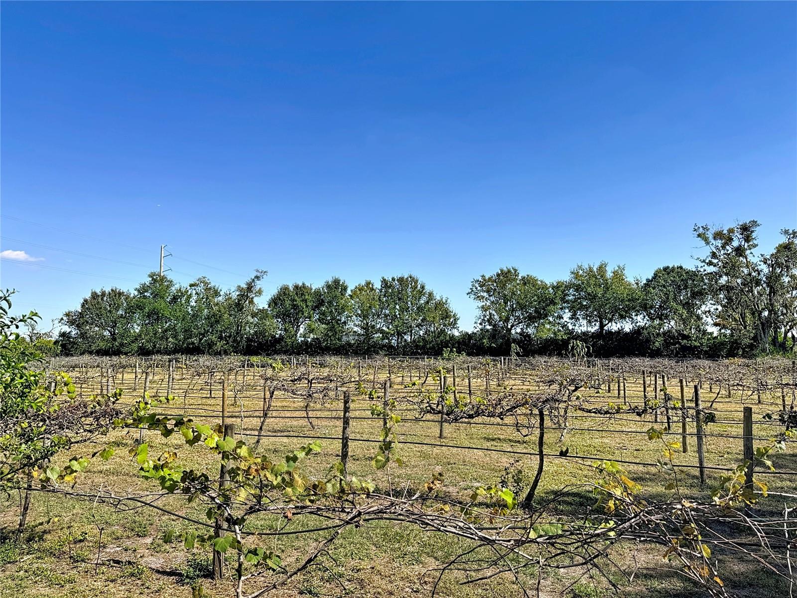 19600 E STATE ROAD 64