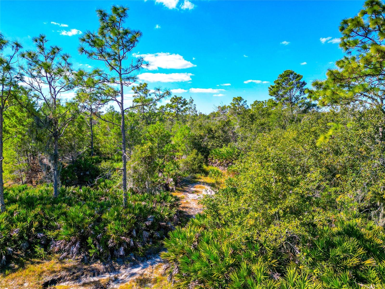 19600 E STATE ROAD 64