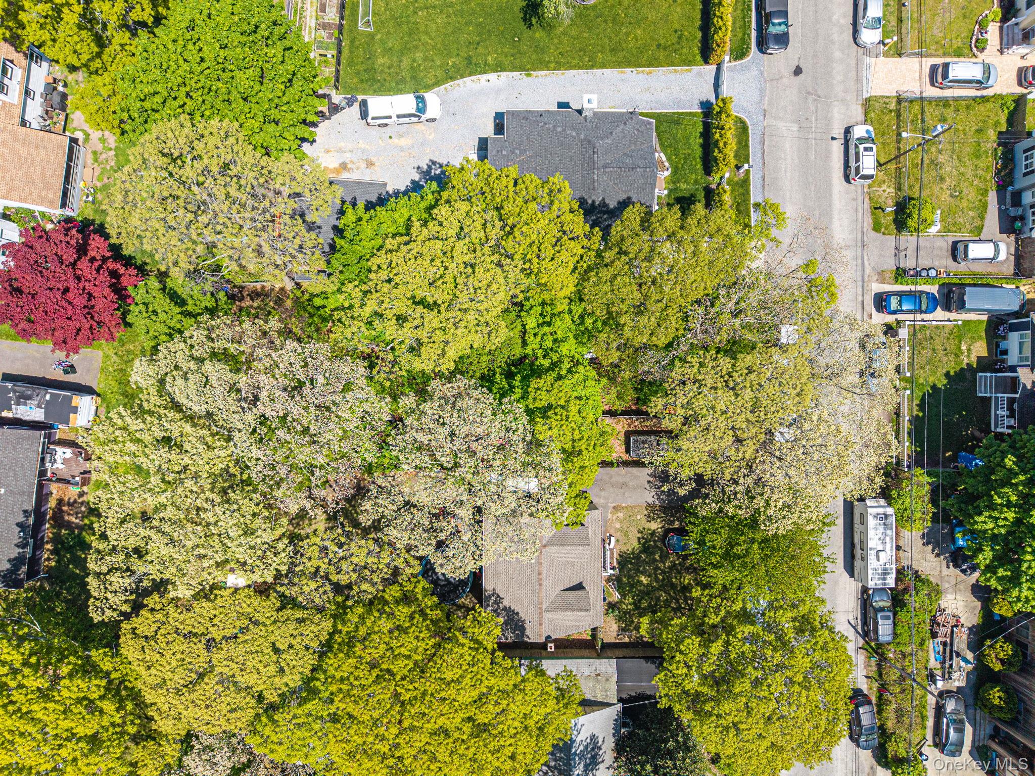 46 Brushwood Drive