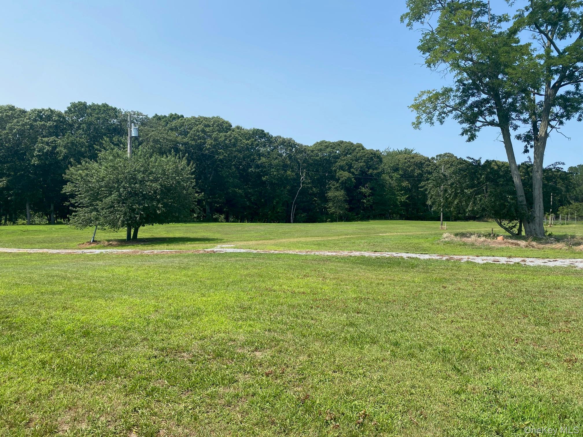 2450 Main Road