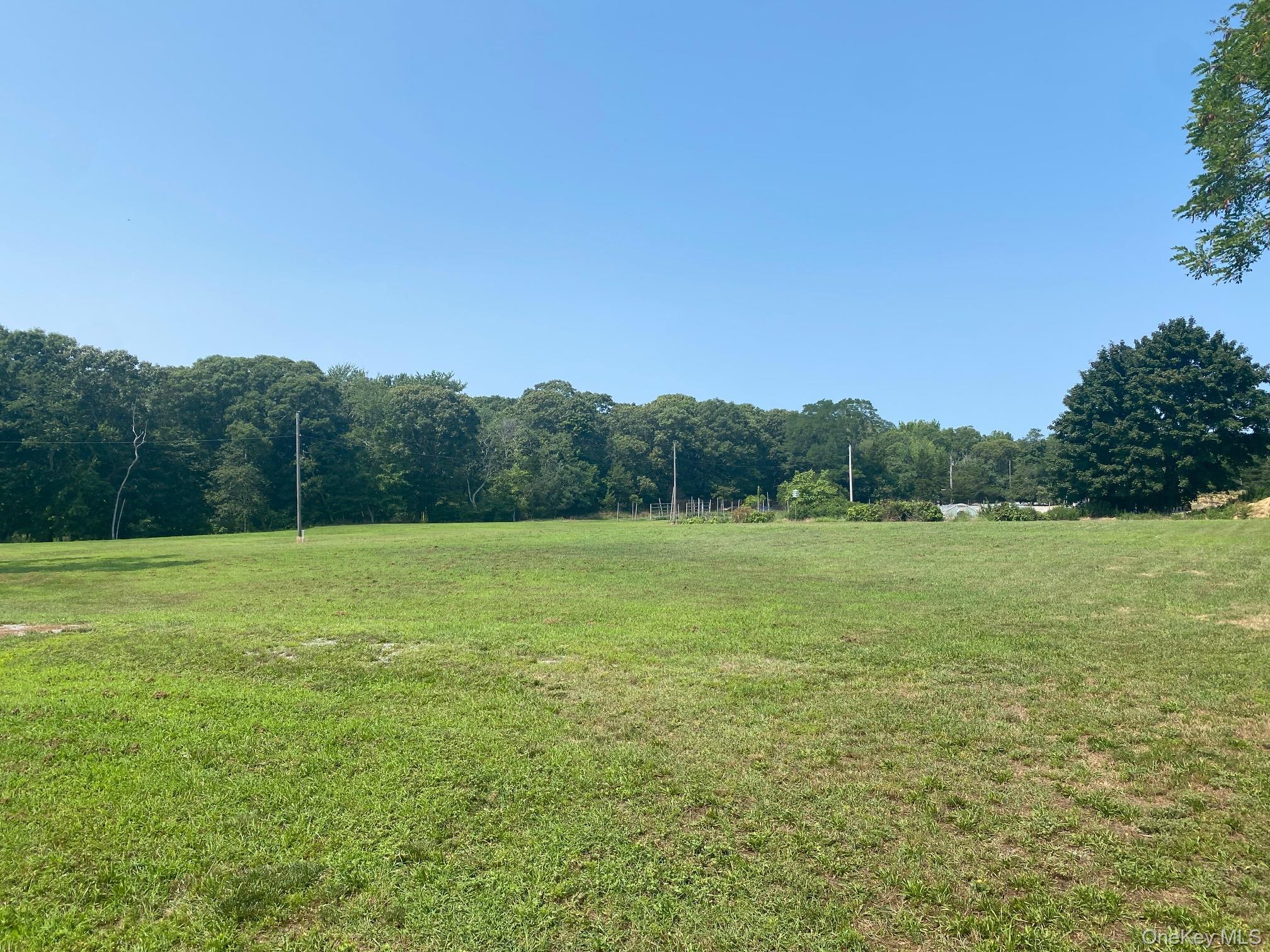 2450 Main Road