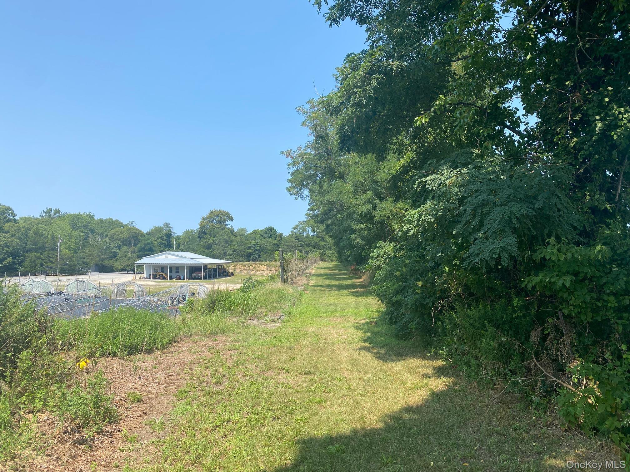 2450 Main Road