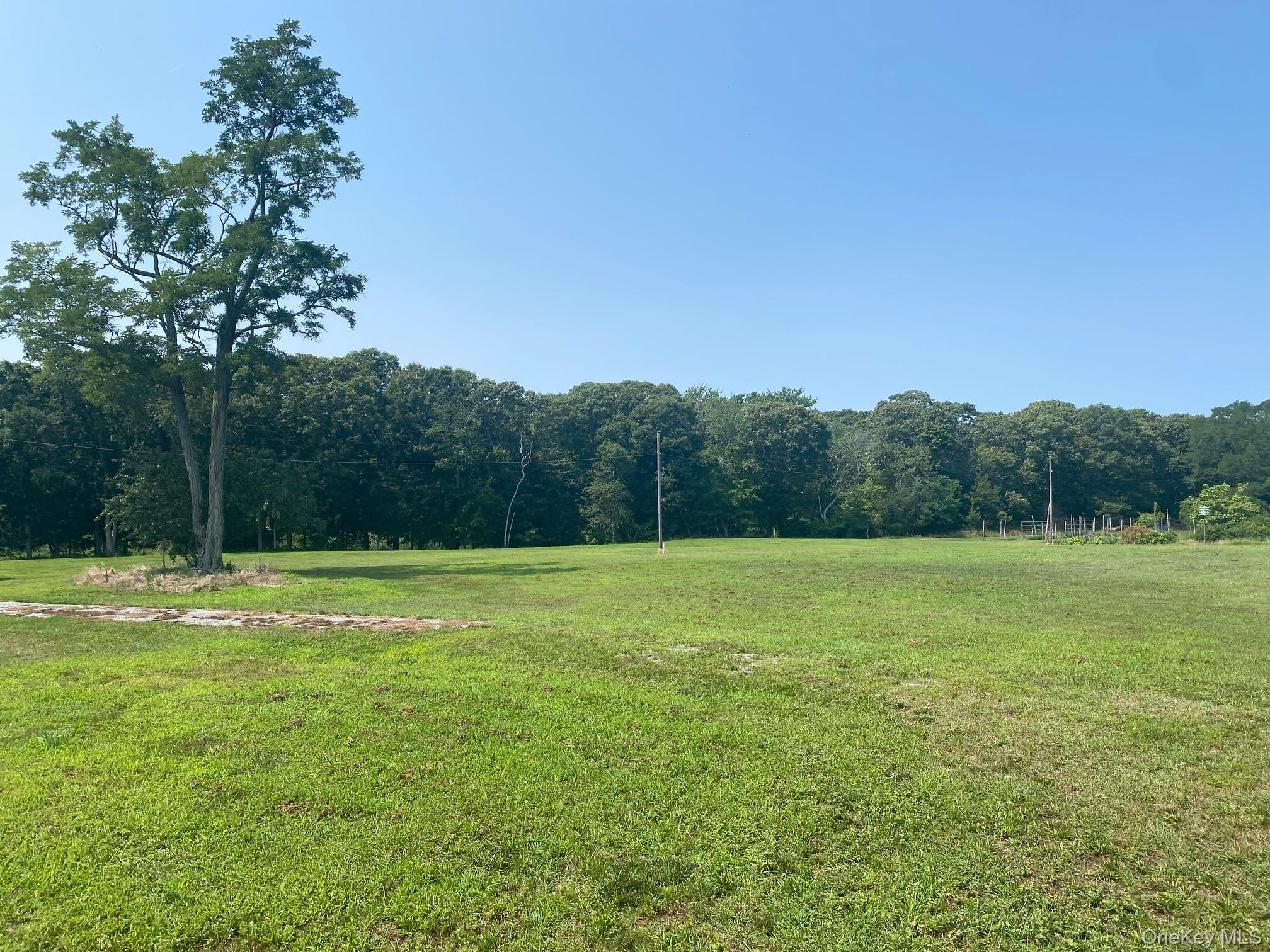 2450 Main Road